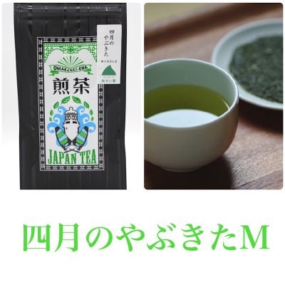 【2個まで購入OK｜送料185円】四月のやぶきたM