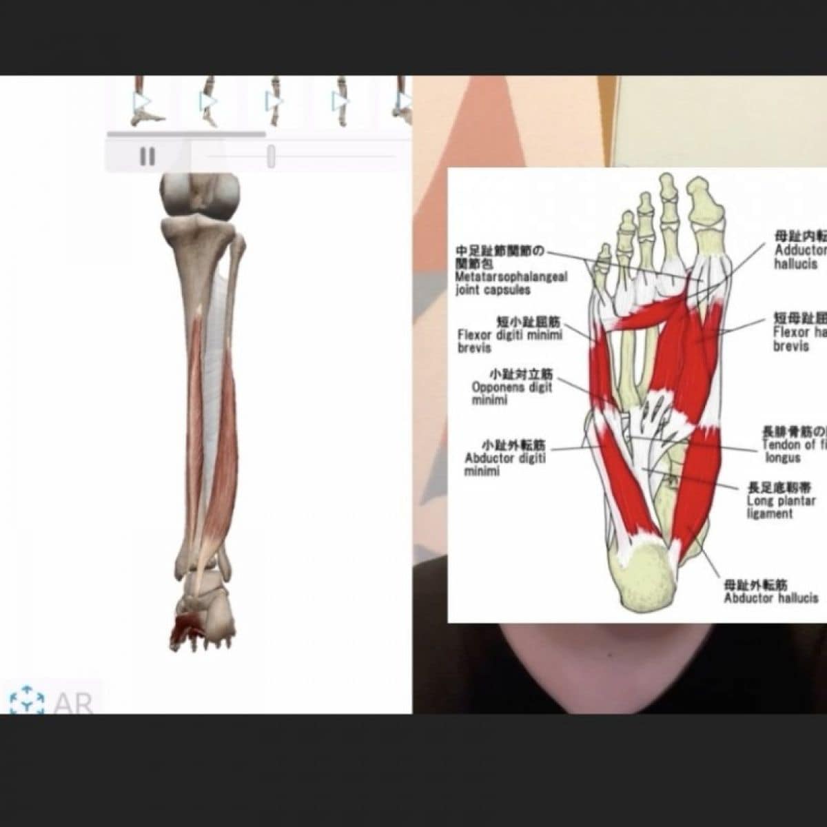 ホームセラピスト・動画で学ぶ足つぼ講座|一般の方対象