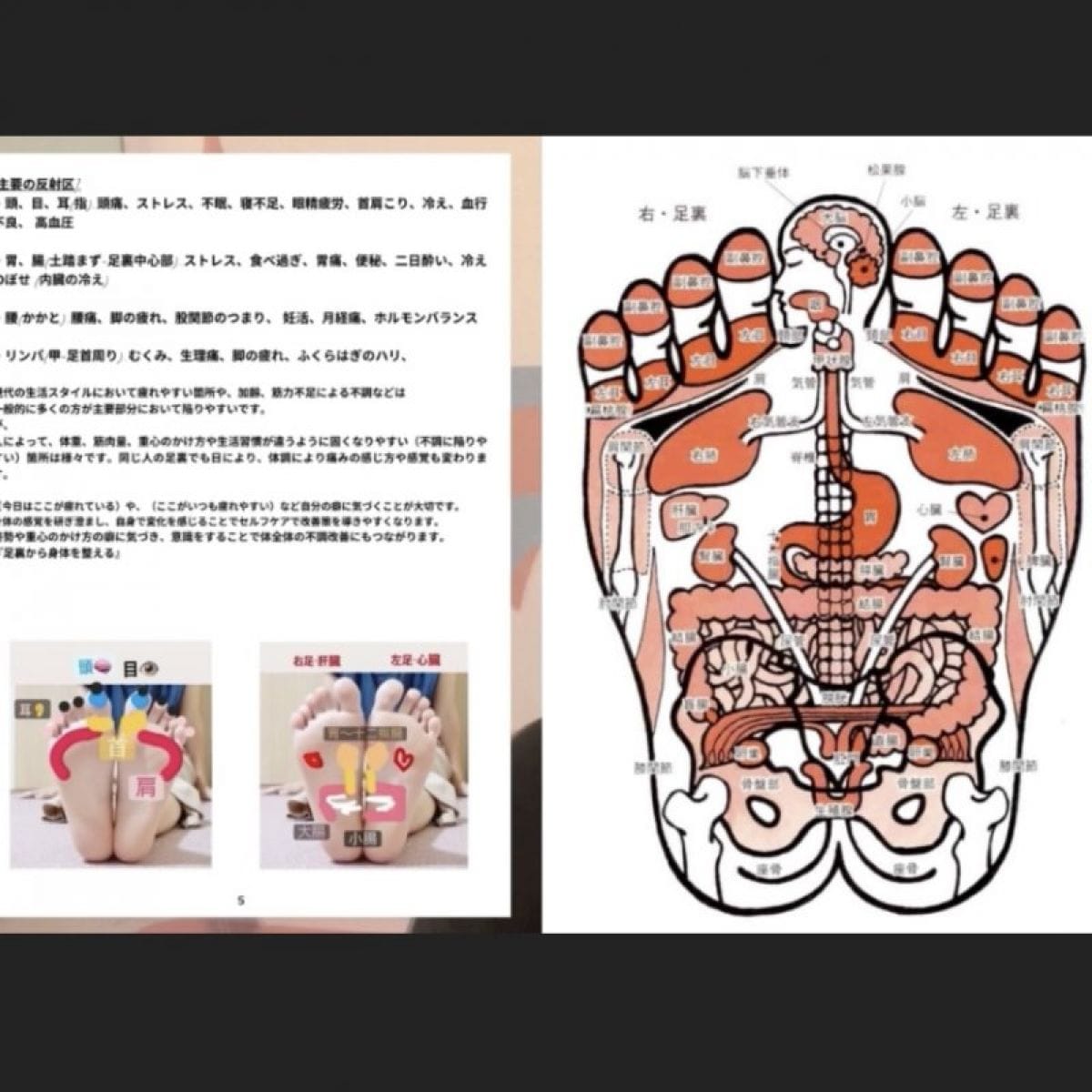 足つぼ講座|実技・ディプロマ付きセラピスト（ボディワーカー・手技療法家）対象