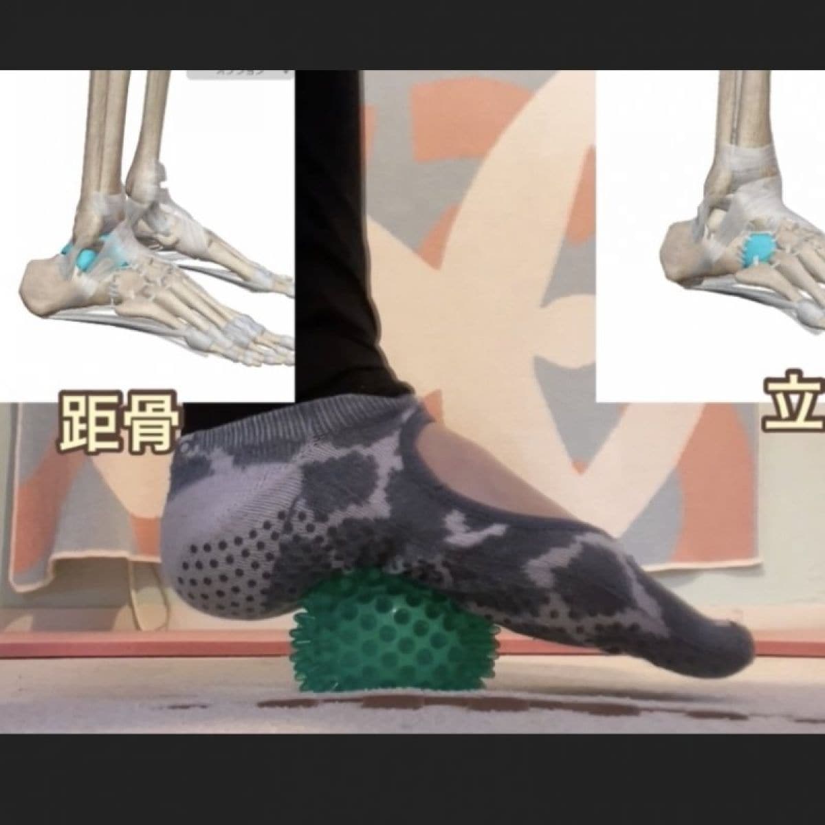 足つぼ講座|実技・ディプロマ付きセラピスト（ボディワーカー・手技療法家）対象