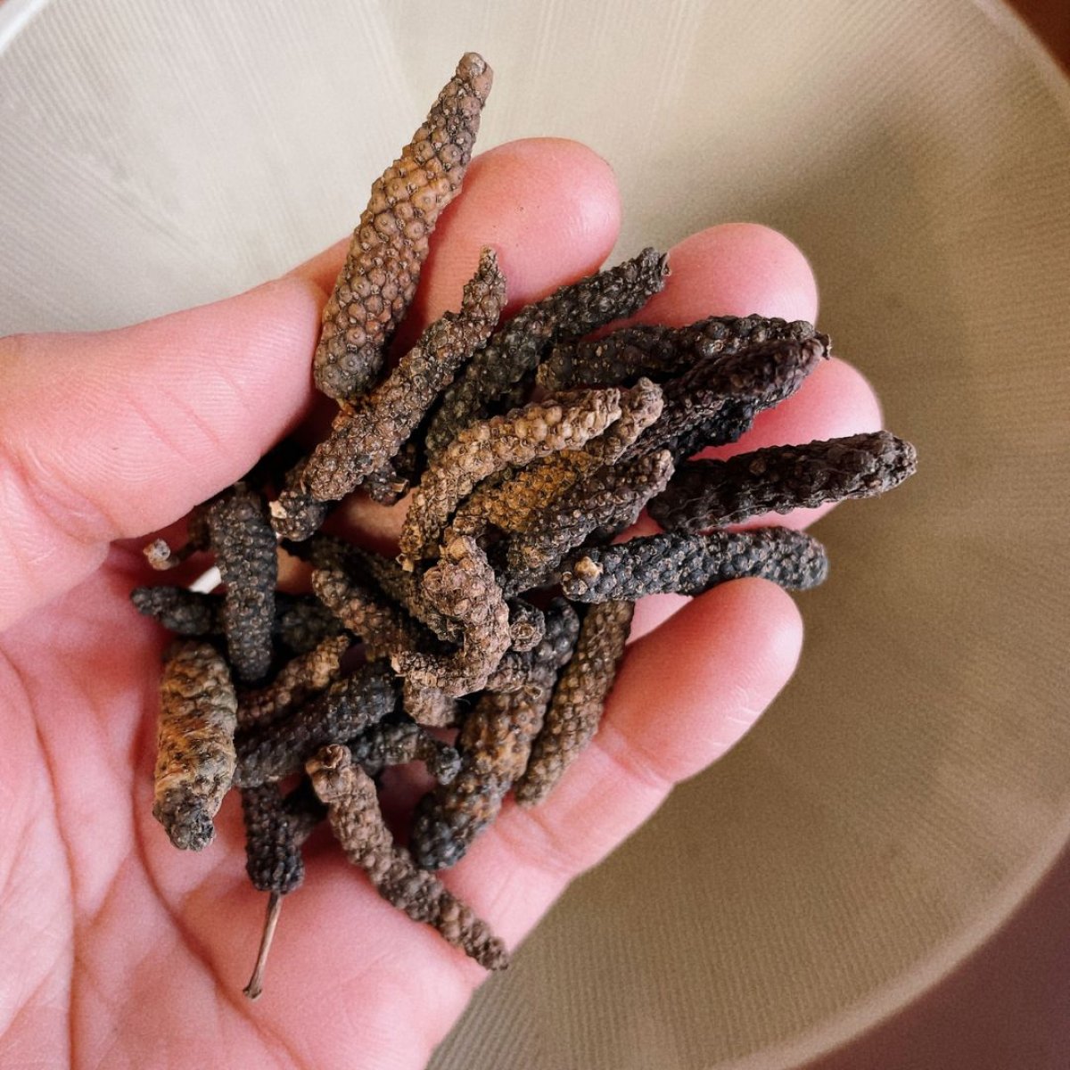 10/17(金）開催『ハーブを楽しむ会』目黒住区センター（三田分室）オリジナルブレンドハーブティを作る