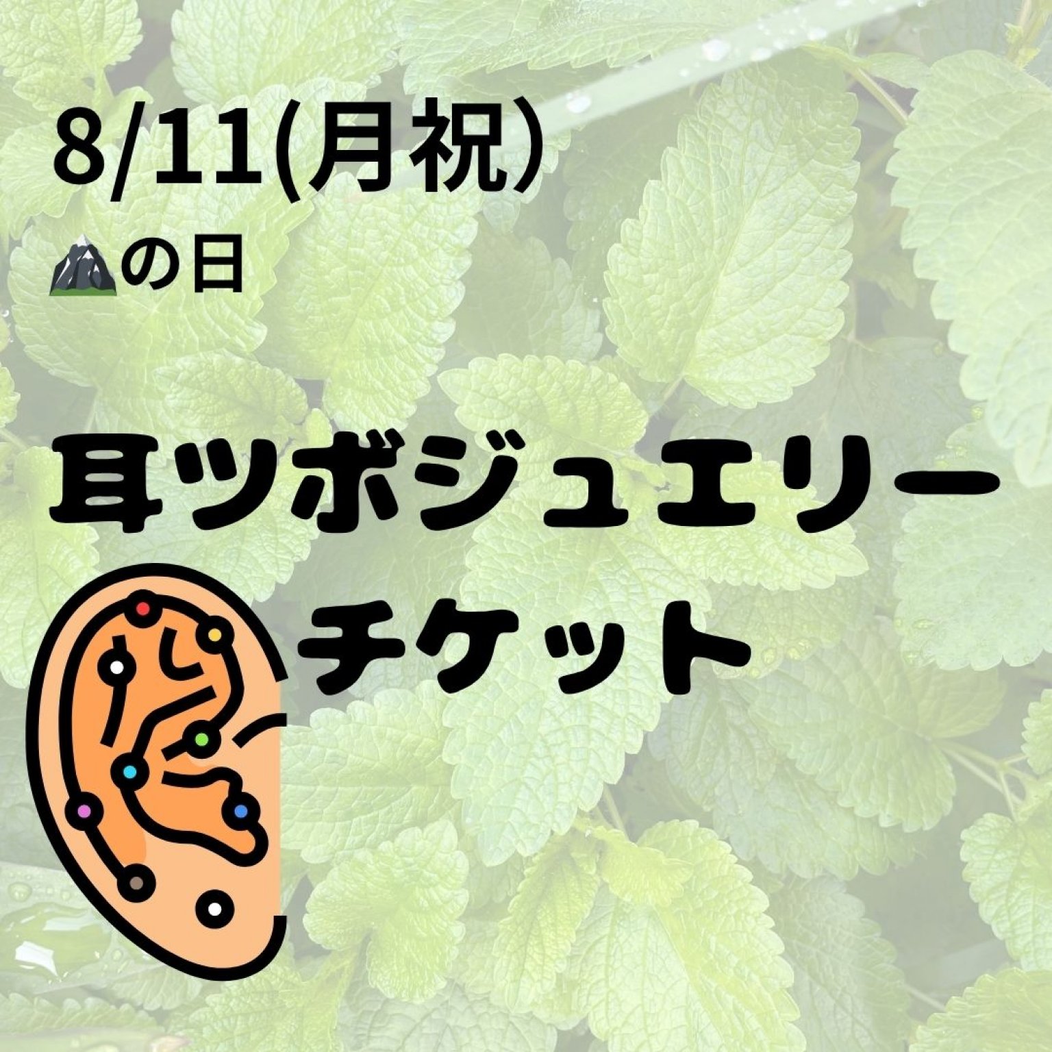 8/11　目黒住区センター（三田分室）　耳ツボジュエリー予約券　