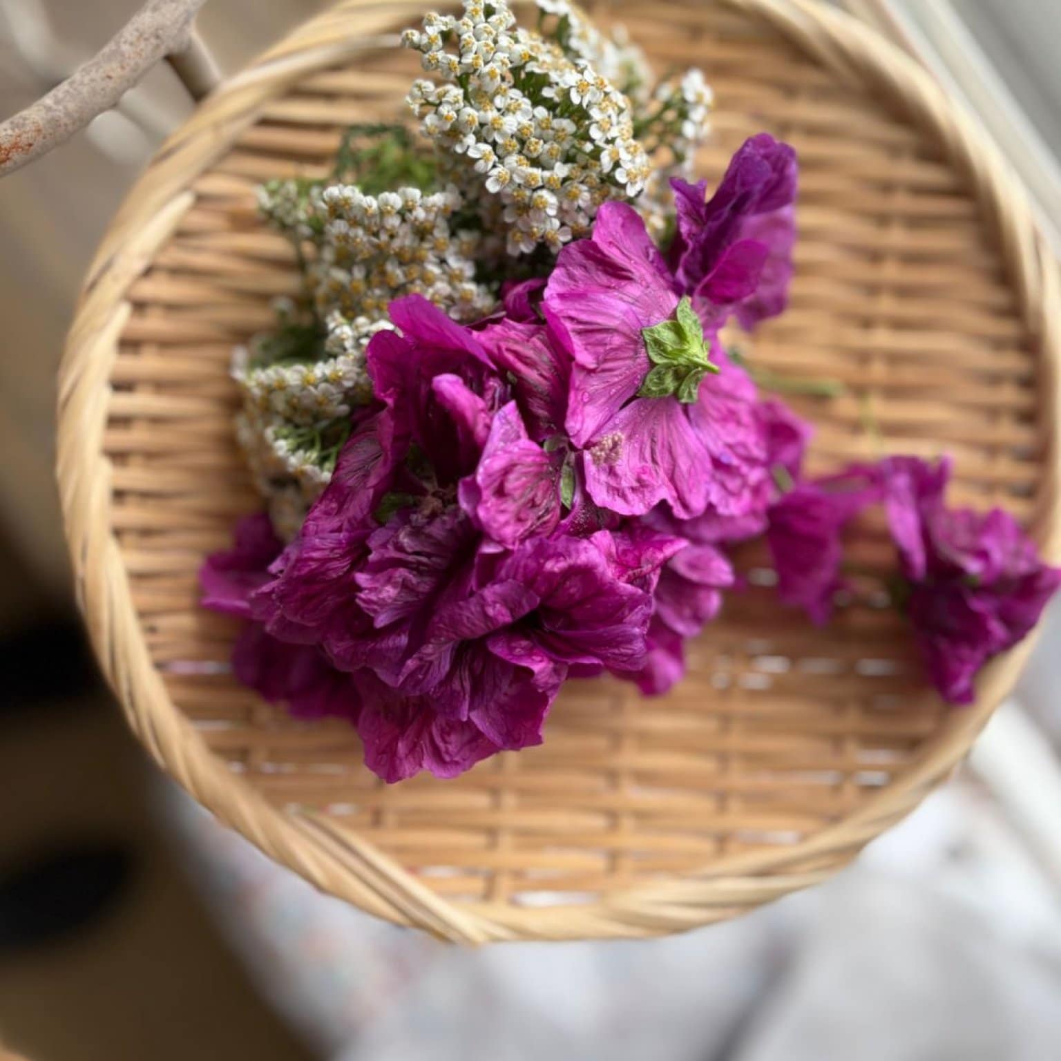 10/17目黒住区センター　追加ハーブティブレンド（¥１０００/袋）