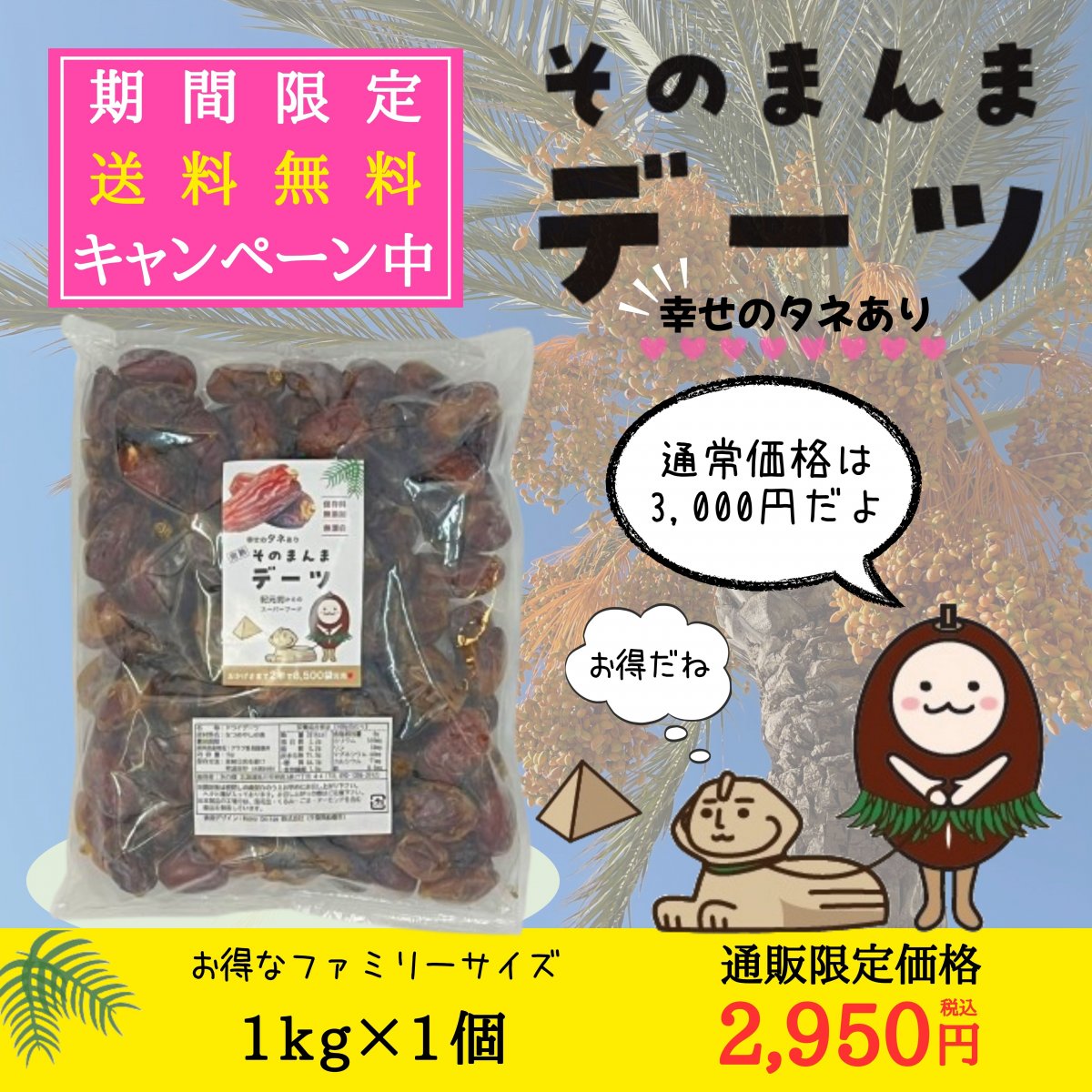 そのまんまデーツ　1ｋｇ　送料無料　【木の環】