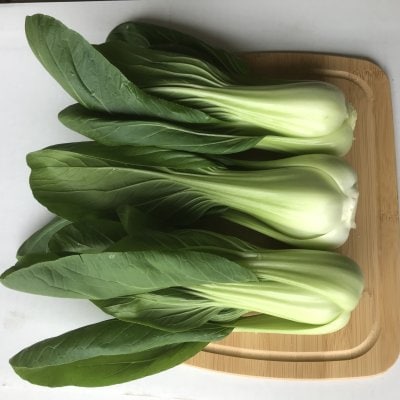 チンゲン菜  2キロ　(11パックくらい)　送料無料（一部地域を除く）