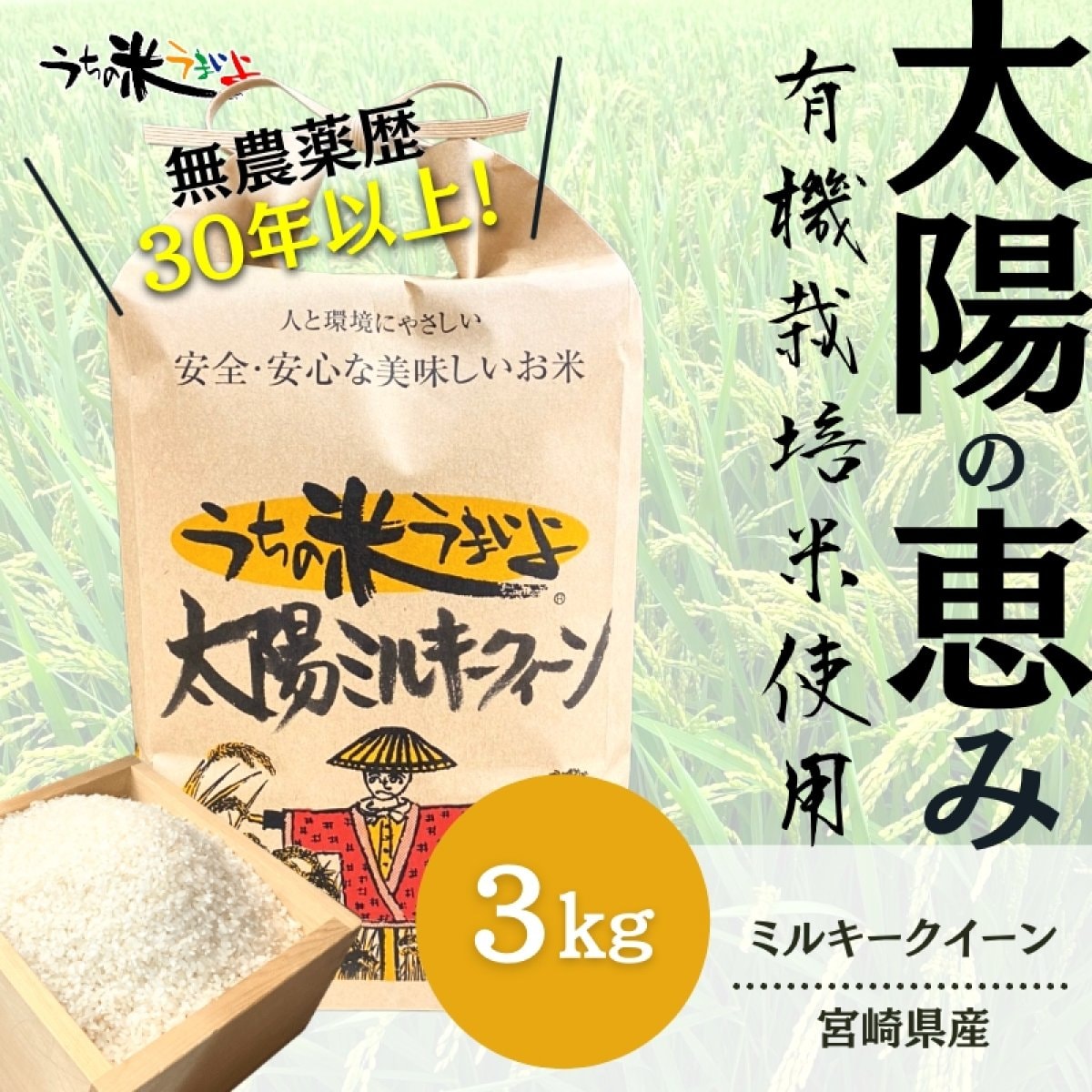 メルマガ会員様限定商品　3kg　「太陽ミルキークイーン」【有機JAS認定】 30年以上無農薬・化学肥料を一切使わずに育てた無農薬米/宮崎県産　2025年度産 うち米