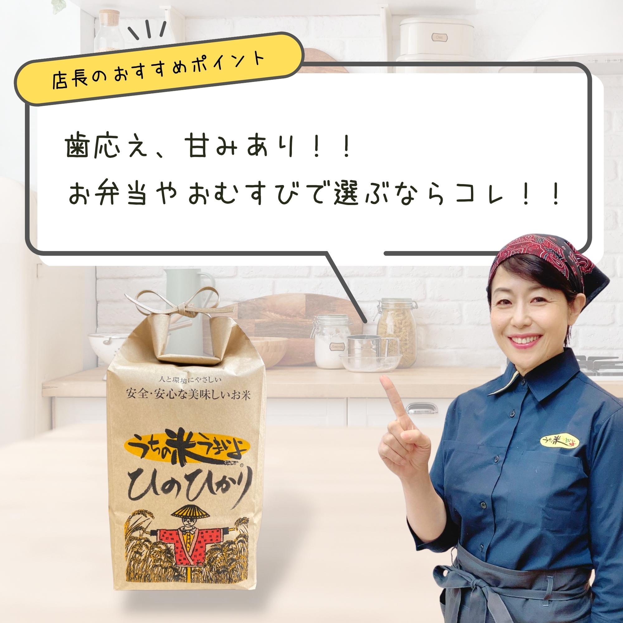 種籾　ヒノヒカリ約3キロ　芽出し済み　有機農家より 3kg ひのひかり【無農薬米・自然栽培米】うちの米 愛知県産/2025年度産