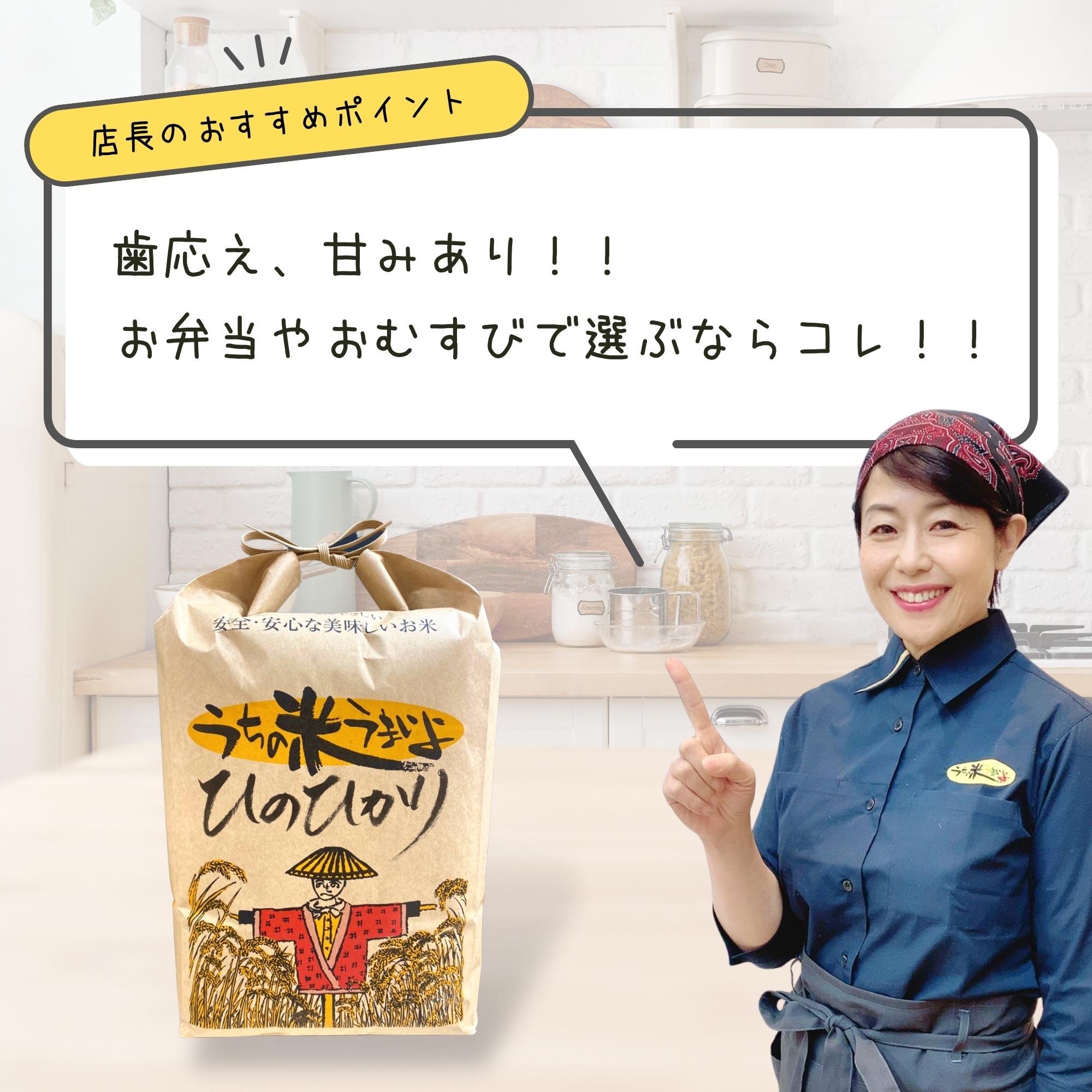 5kg ひのひかり【無農薬米・自然栽培米】うちの米 愛知県産/2025年度産 