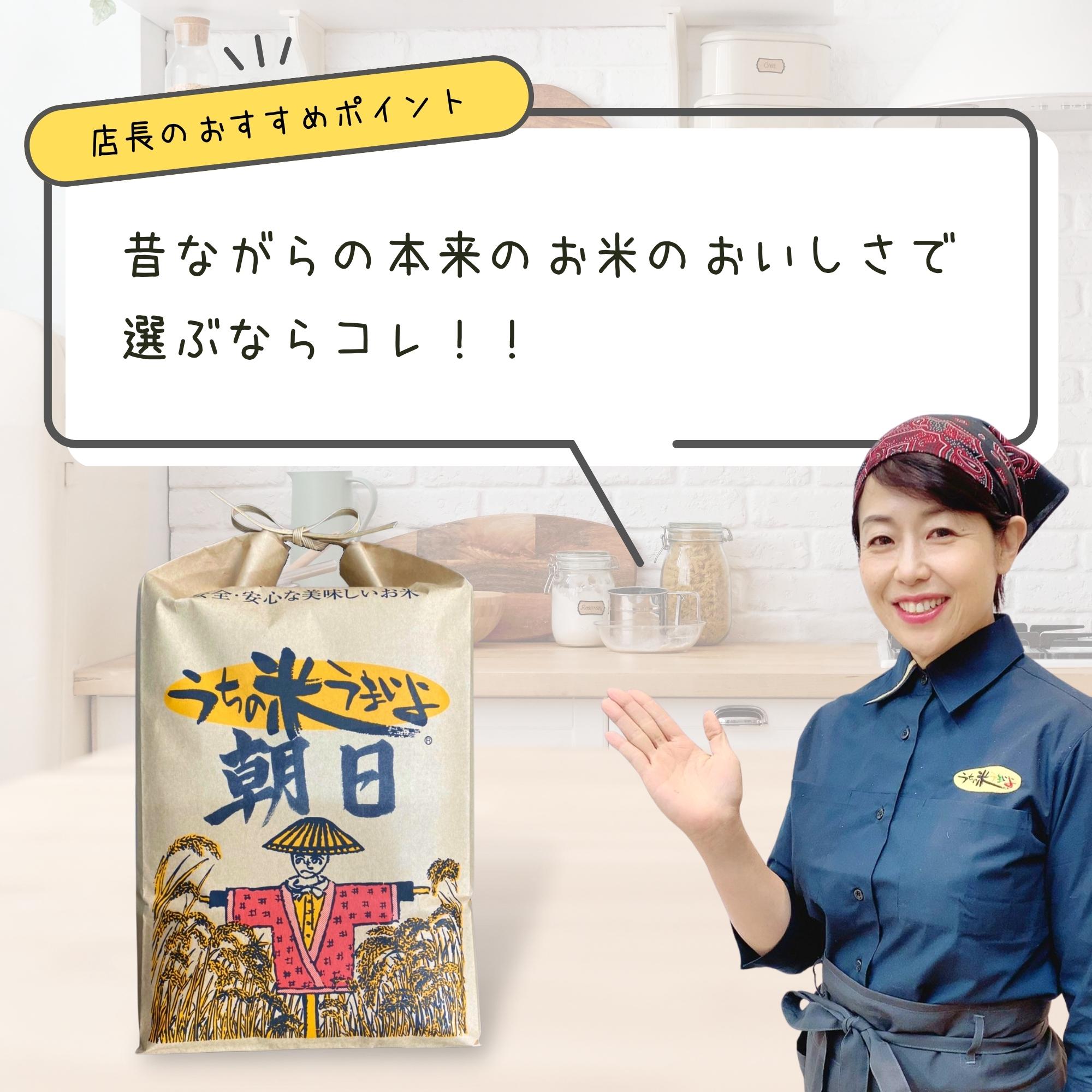 5kg【純粋原種】うちの米 2025年度産 熊本県産 朝日【無農薬米/有機