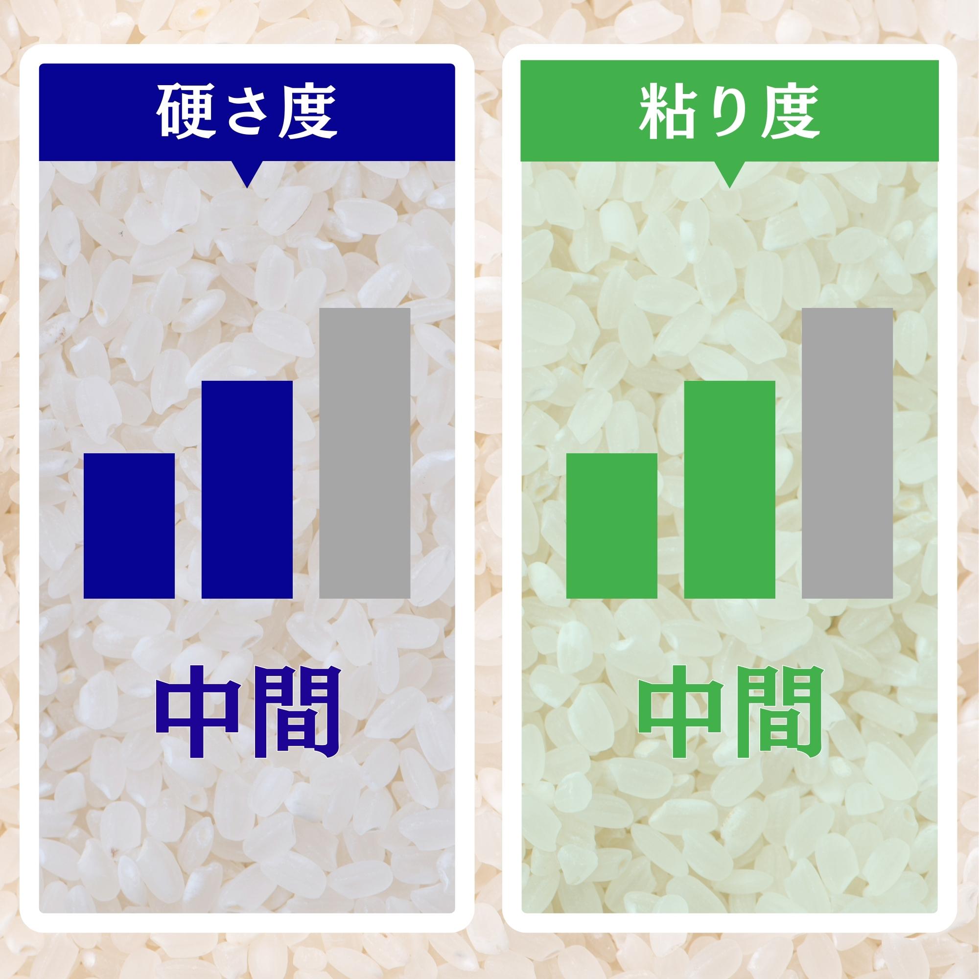 3kg ひのひかり【無農薬米・自然栽培米】うちの米 愛知県産/2025年度産