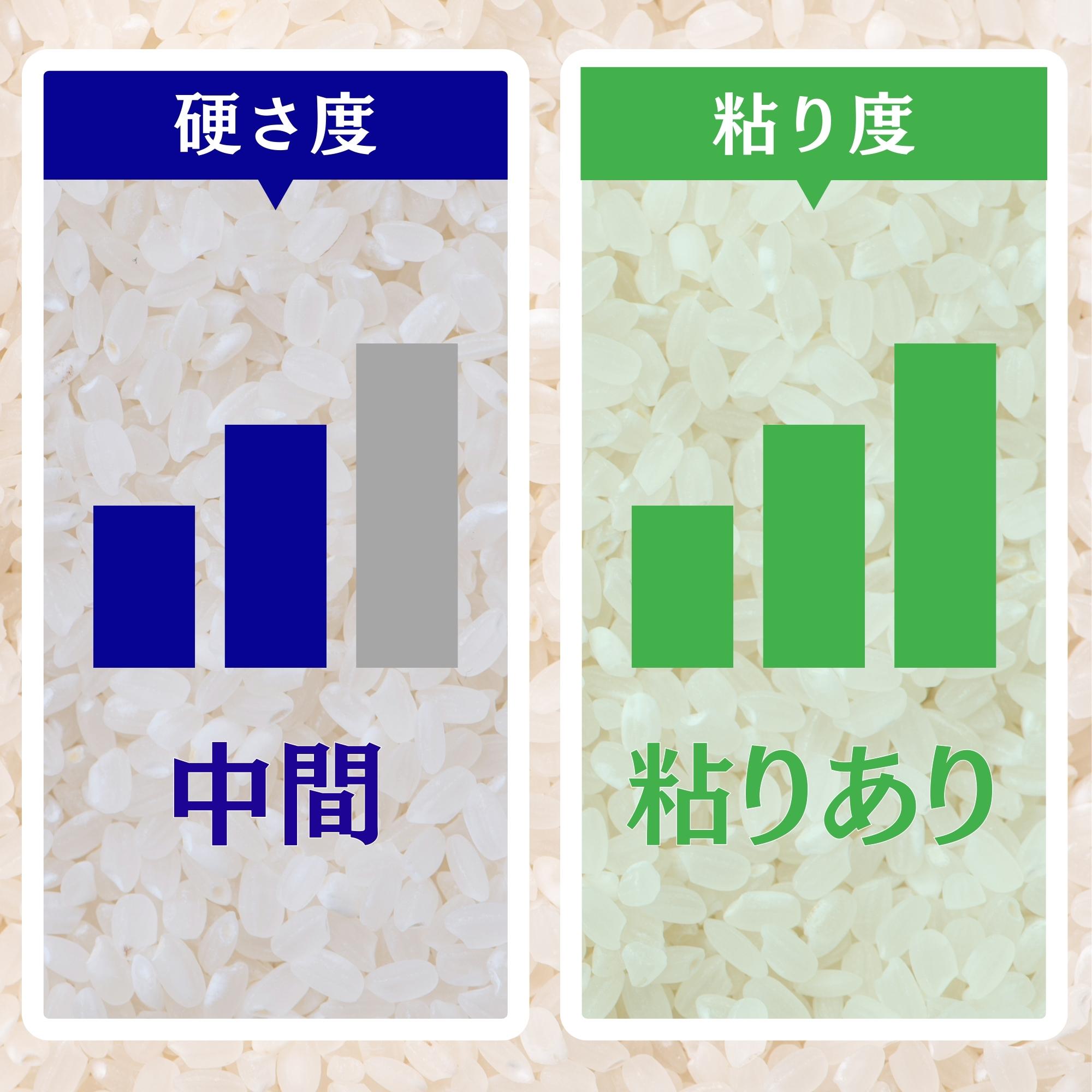 2kg 新潟県佐渡島産棚田米〜豊潤®️ 2025年度産 uchikome うちの米