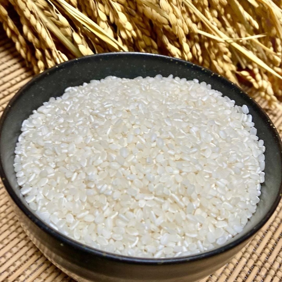 2kg 新潟県佐渡島産棚田米〜豊潤®️ 2025年度産 uchikome うちの米