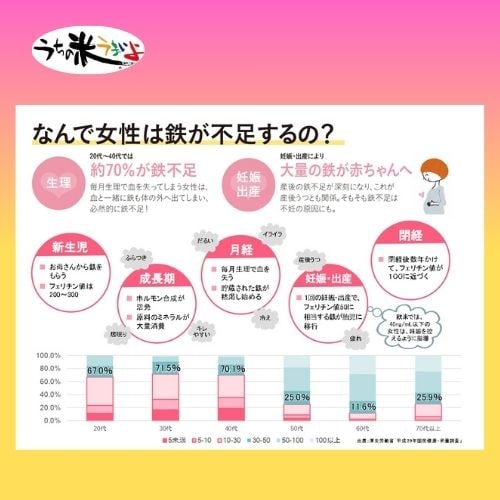 お得2個セット ヘム鉄（1粒239．5mg×120粒） フェロロンプラス