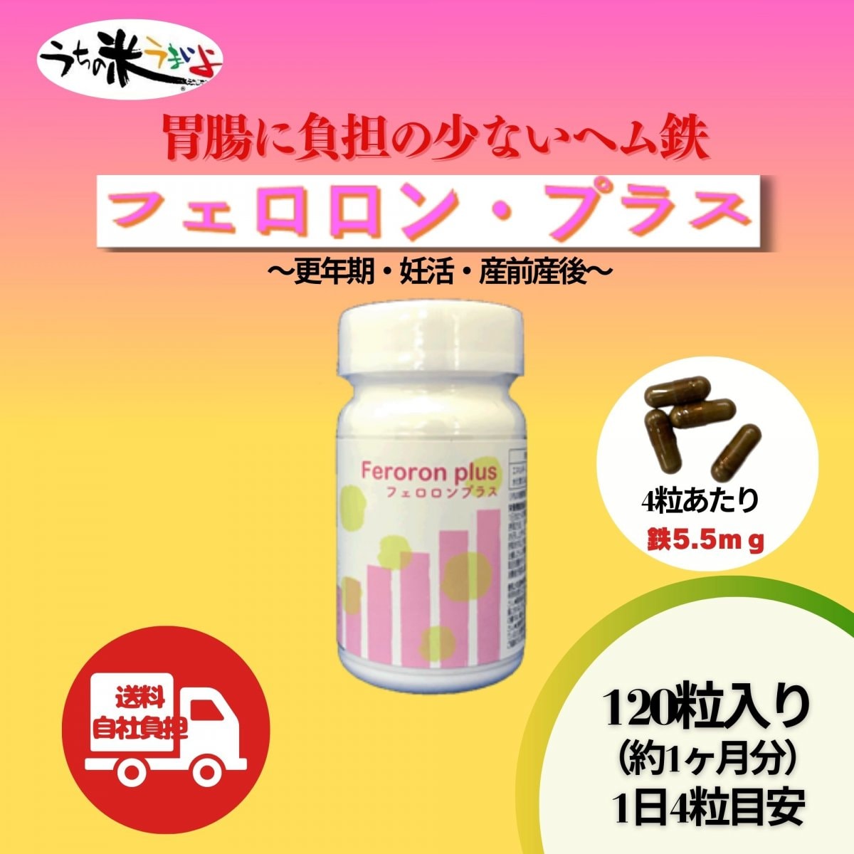 ヘム鉄（1粒239．5ｍg×120粒）　フェロロンプラス　Feroron  pius