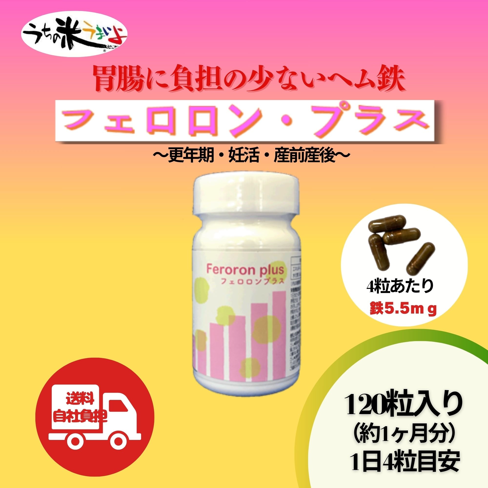 ヘム鉄（1粒239．5mg×120粒） フェロロンプラス Feroron pius