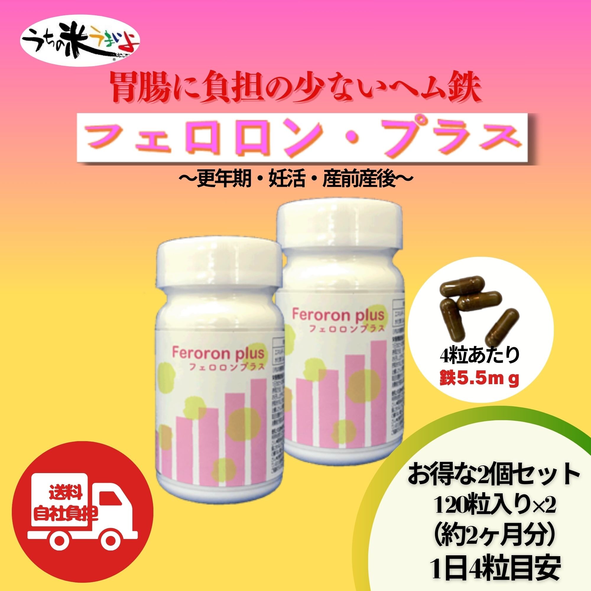 モリケンショウ　プロポリス、ヘム鉄、β500 3点セット お得2個セット ヘム鉄（1粒239．5mg×120粒） フェロロンプラス