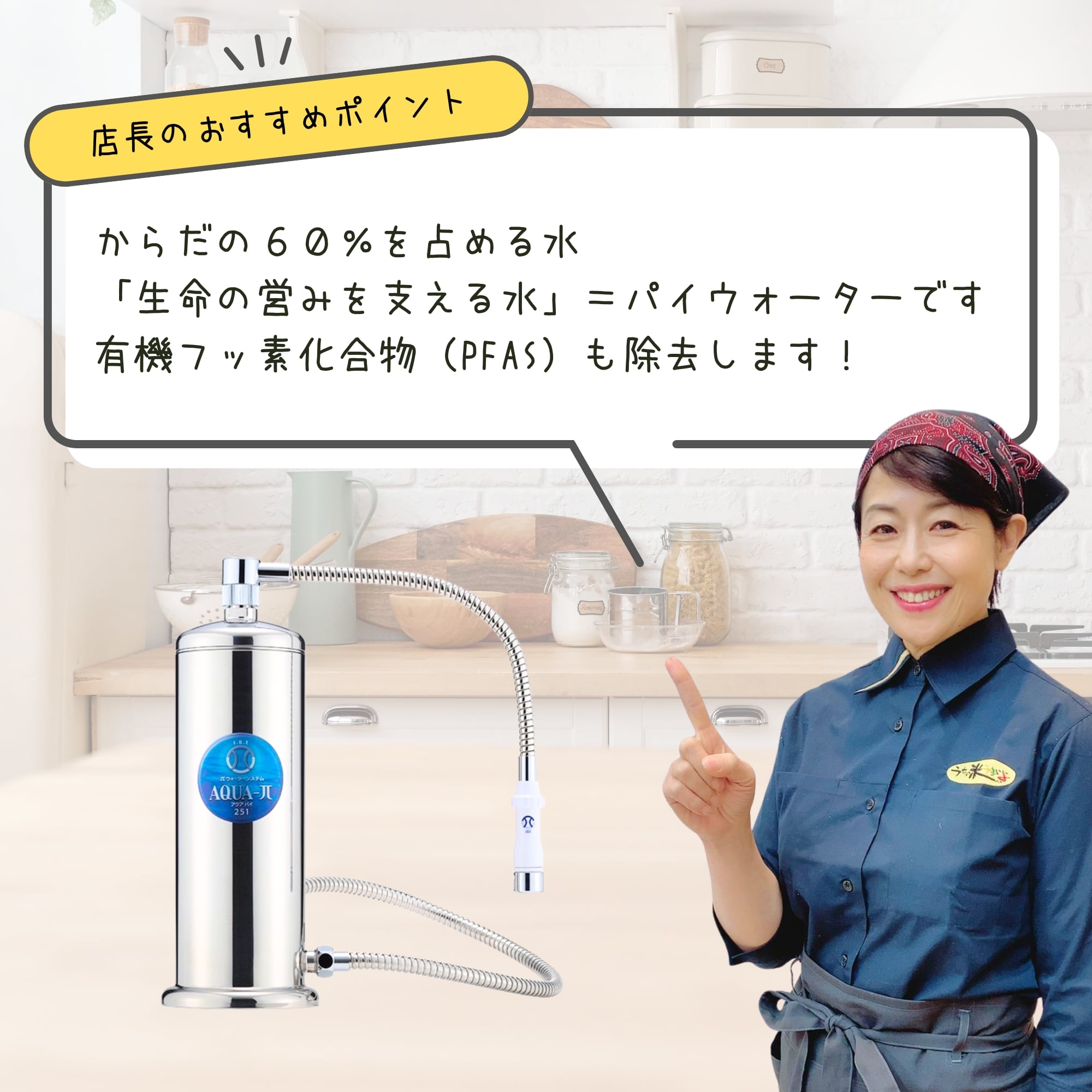 浄水器 アクアパイ251 家庭用浄水器 高ポイント還元中！！