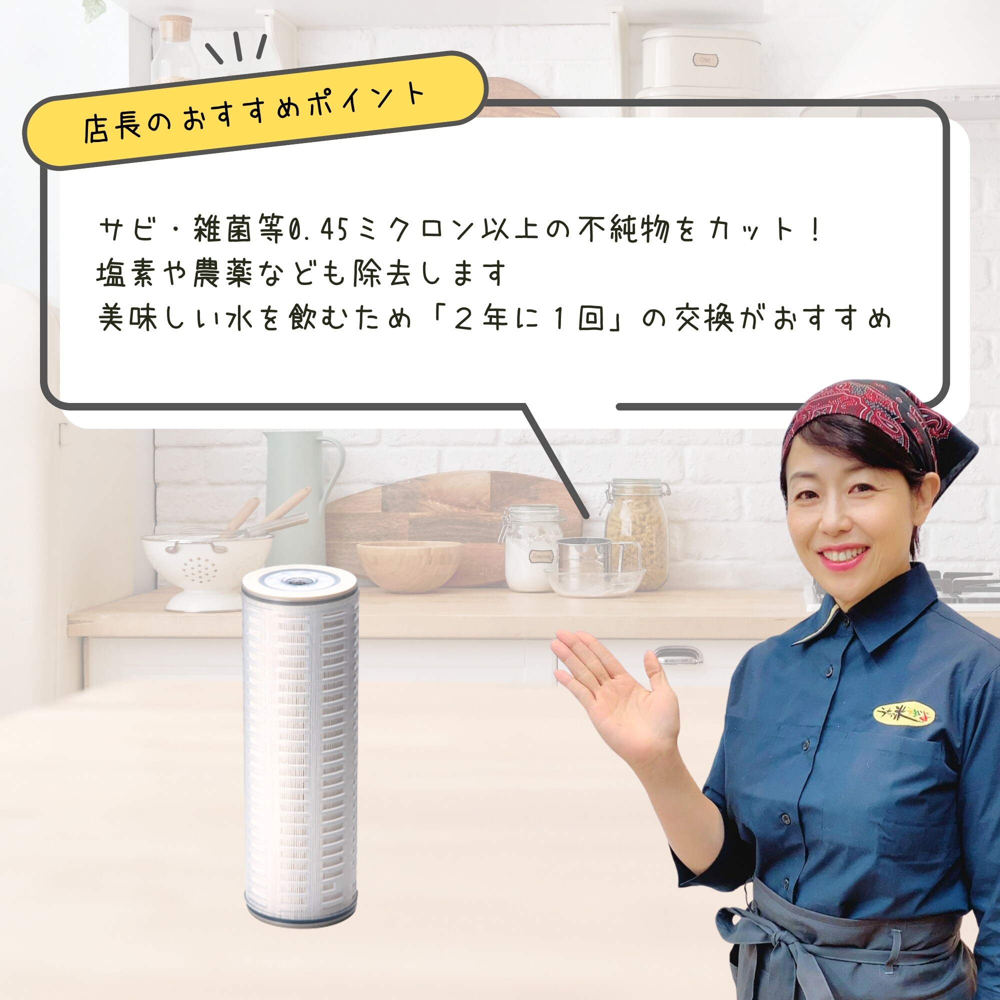 Sound Water ER-0501 浄水器本体（交換フィルター付） Sound Water ER-0501 浄水器本体（交換フィルター付）の通販はau PAY