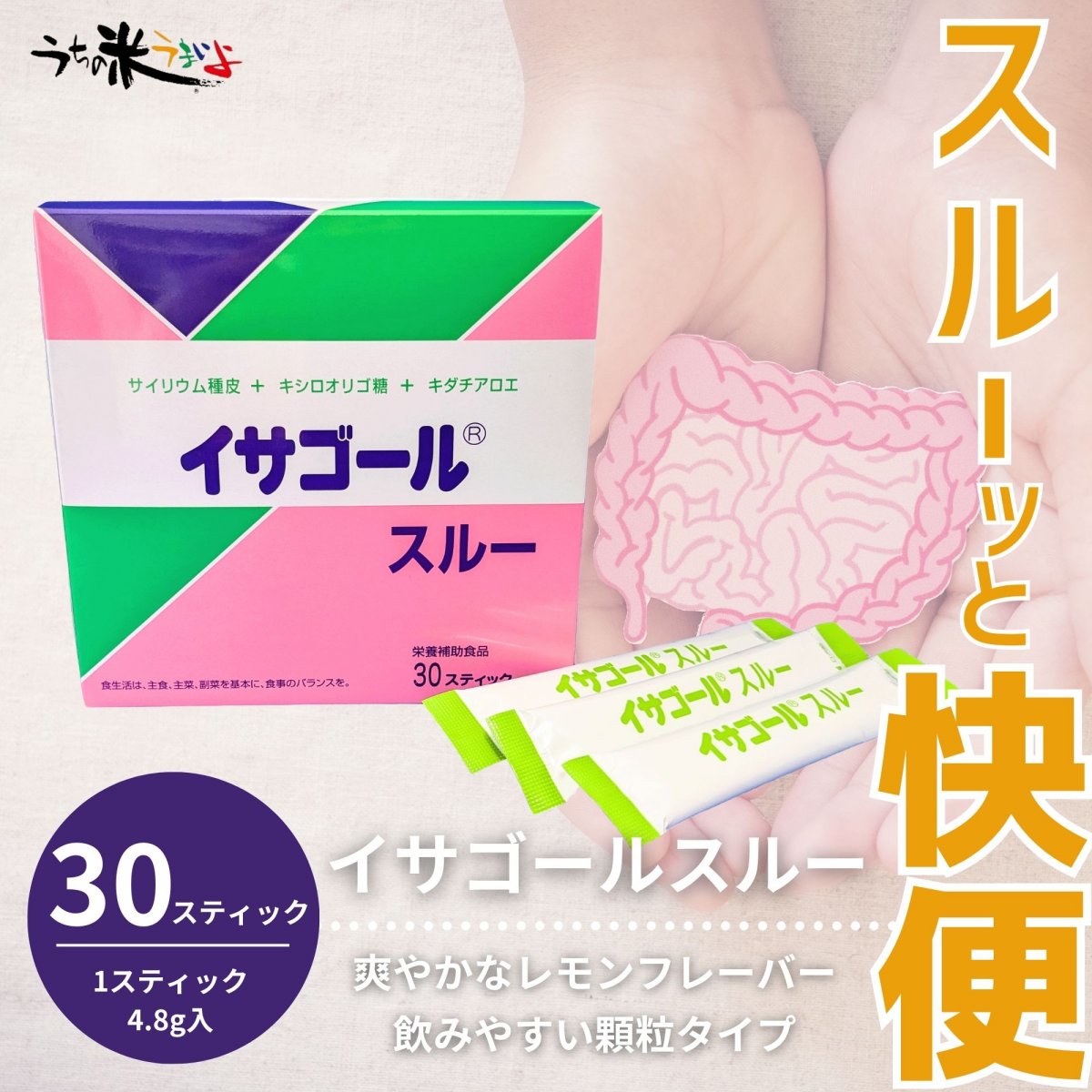 1箱4.8ｇ×30スッテック入り　【イサゴールスルー】食物繊維加工食品