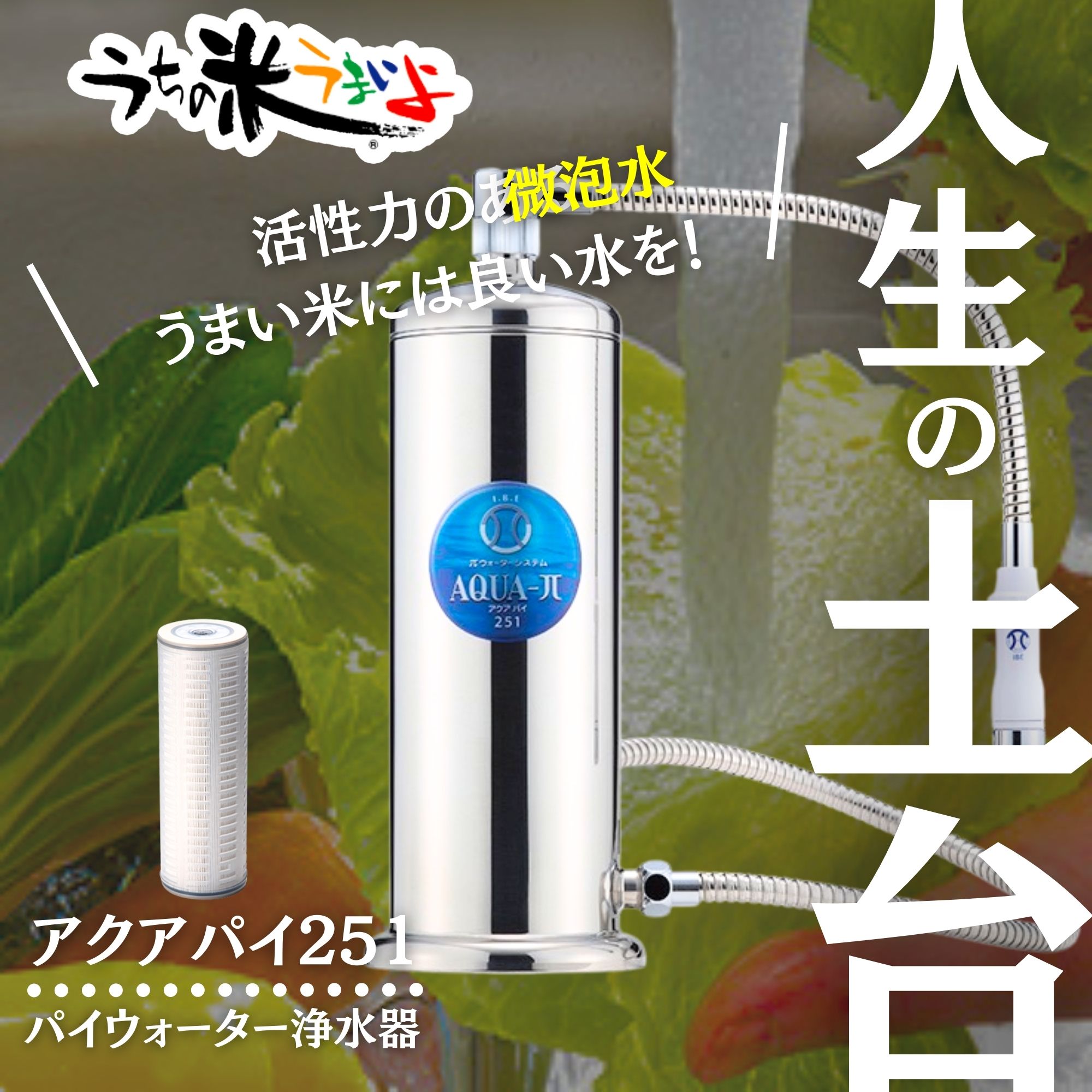 浄水器 アクアパイ251 家庭用浄水器 高ポイント還元中！！