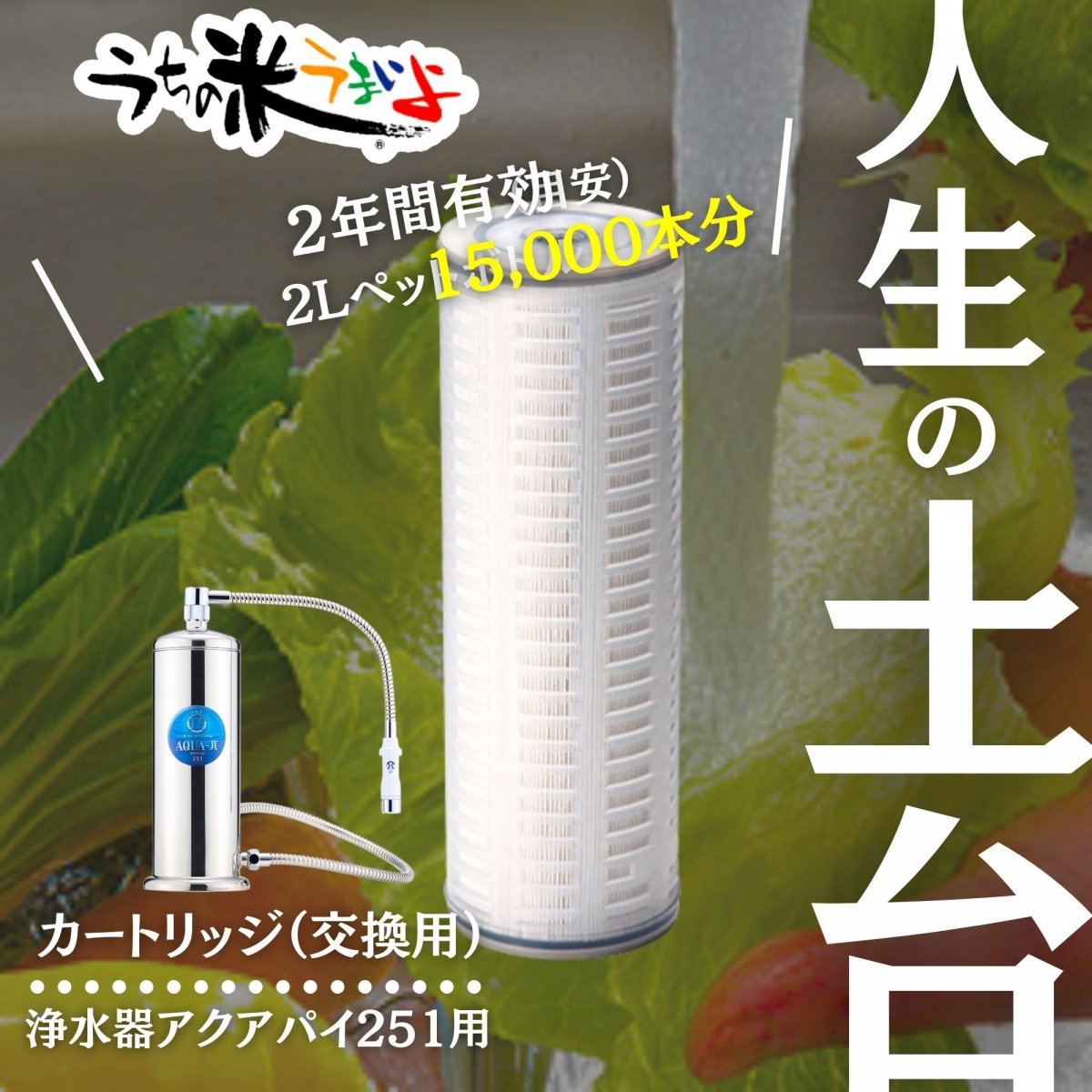 高ポイント！！　浄水器交換用フィルター　【アクアパイ251】