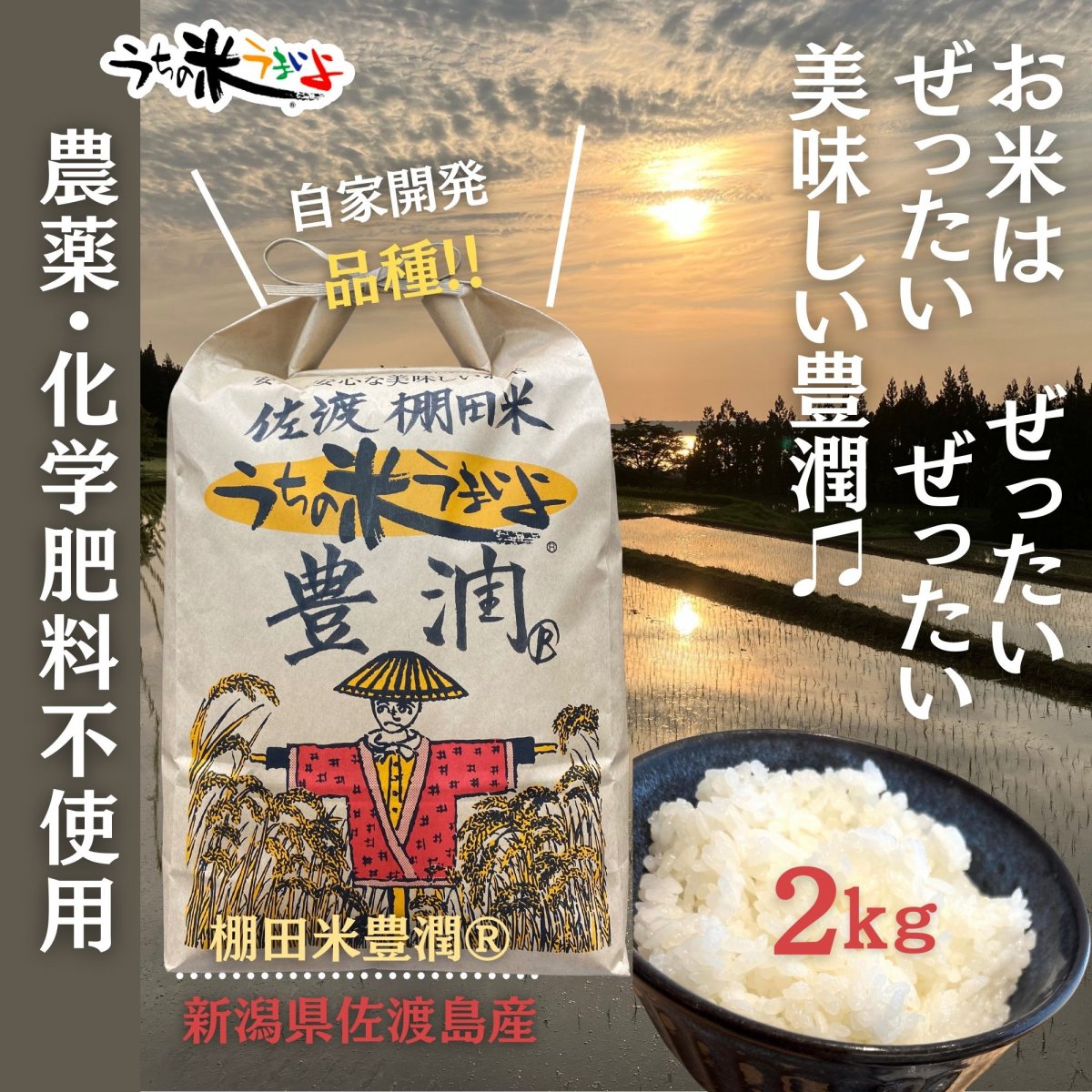 新米入荷‼︎メルマガ会員様専用（数量限定品）　2kg　新潟県佐渡島産棚田米〜豊潤®️　2025年度産