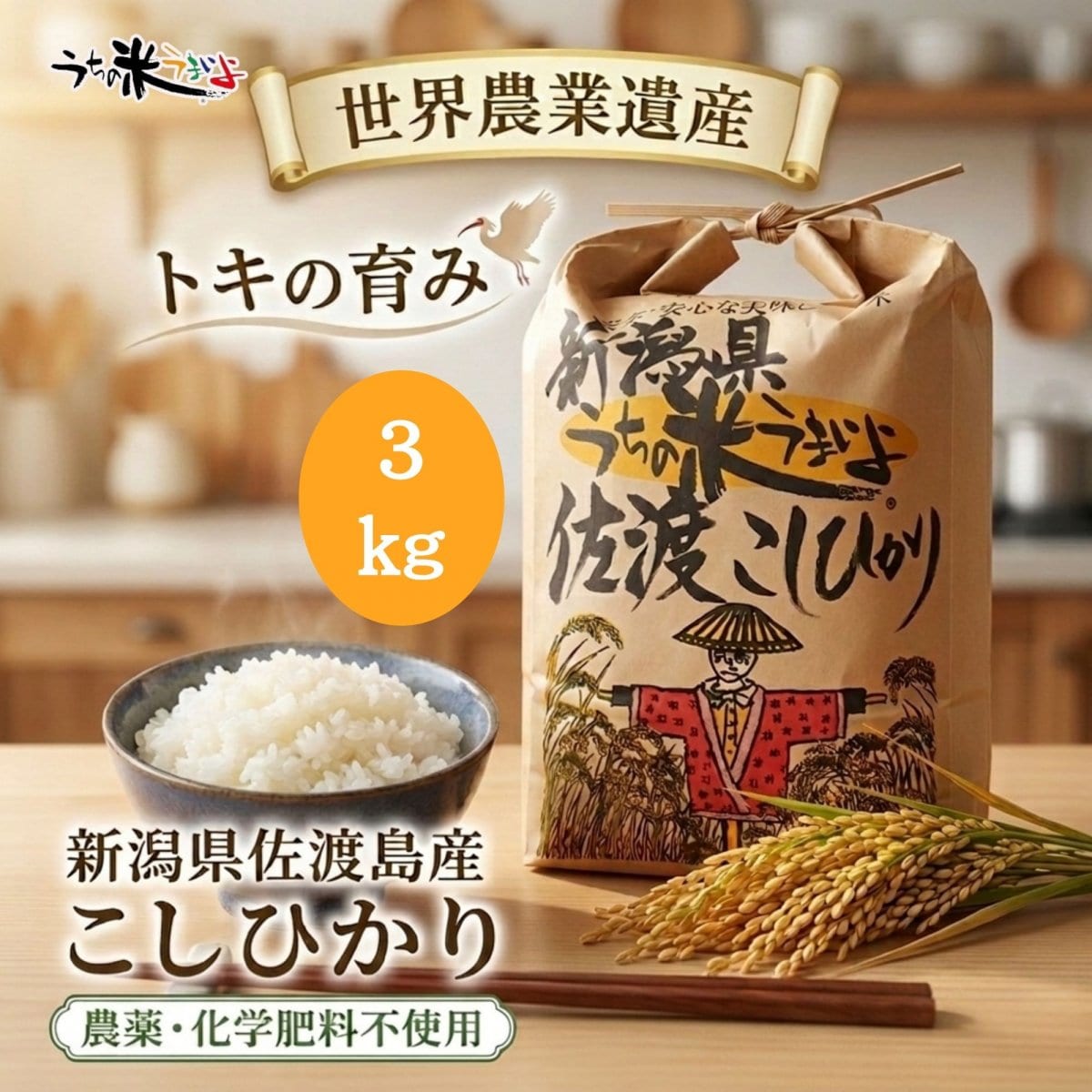 3kg　新潟県佐渡島産こしひかり　トキが舞い降りる希少価値の高いお米　農薬・化学肥料不使用　うちの米うまいよ