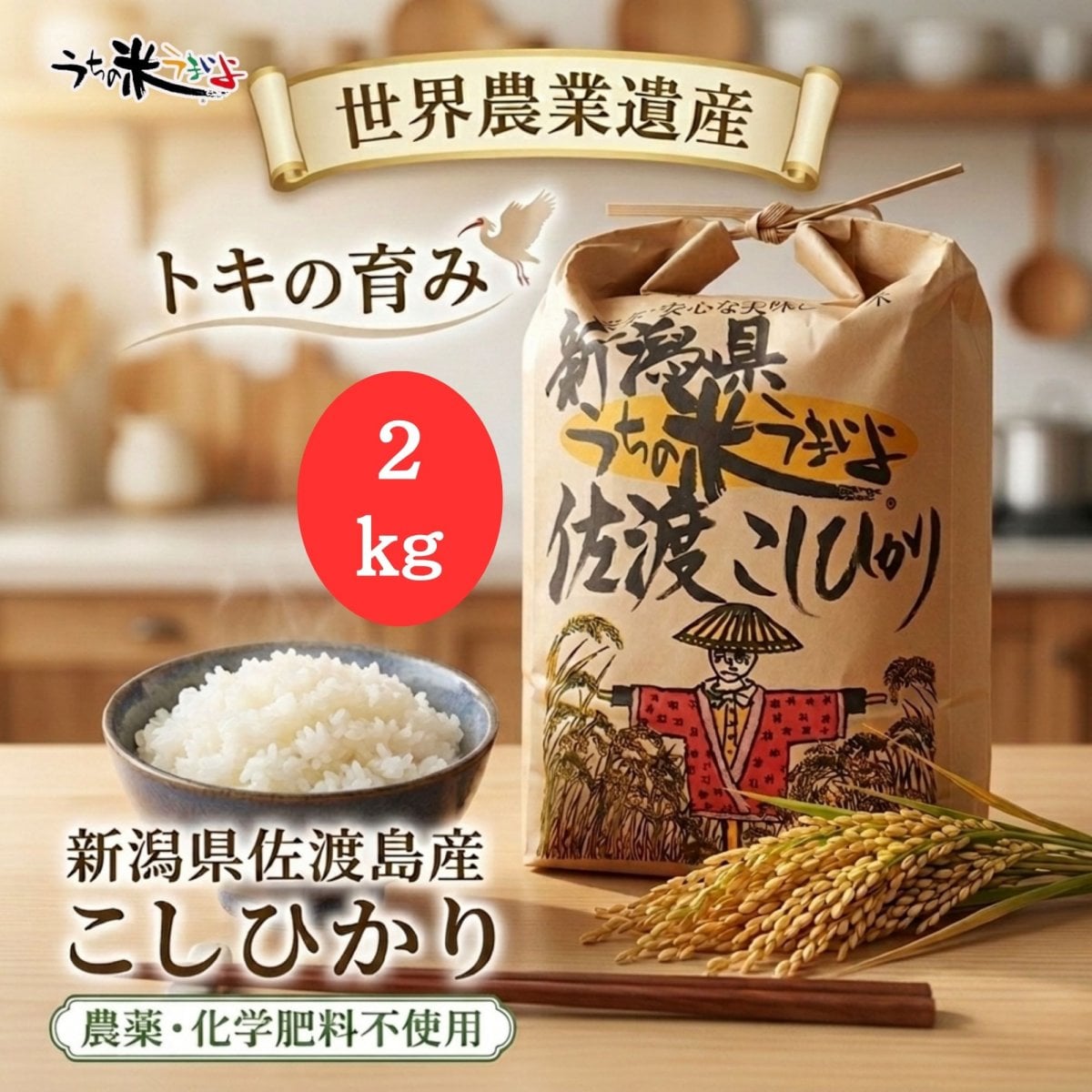 2kg　新潟県佐渡島産こしひかり　トキが舞い降りる希少価値の高いお米　農薬・化学肥料不使用　うちの米うまいよ