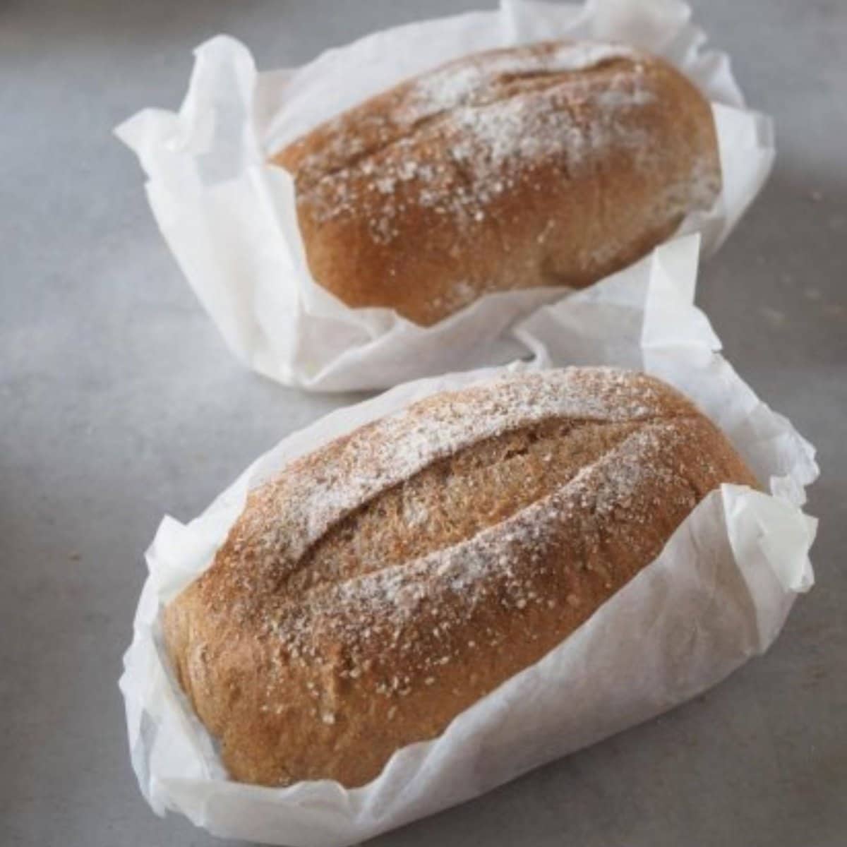 6個入り / 全粒粉100%生糀パンギフト (砂糖不使用・乳製品一切不使用・北海道十勝産全粒粉） 冷凍配送