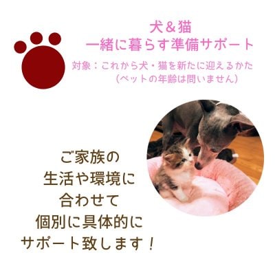 長崎県諌早市｜獣医さんによるペットを迎える準備サポート「うちの場合の環境作りとしつけ方」｜犬＆猫｜オンラインor対面｜日程はご希望により調整