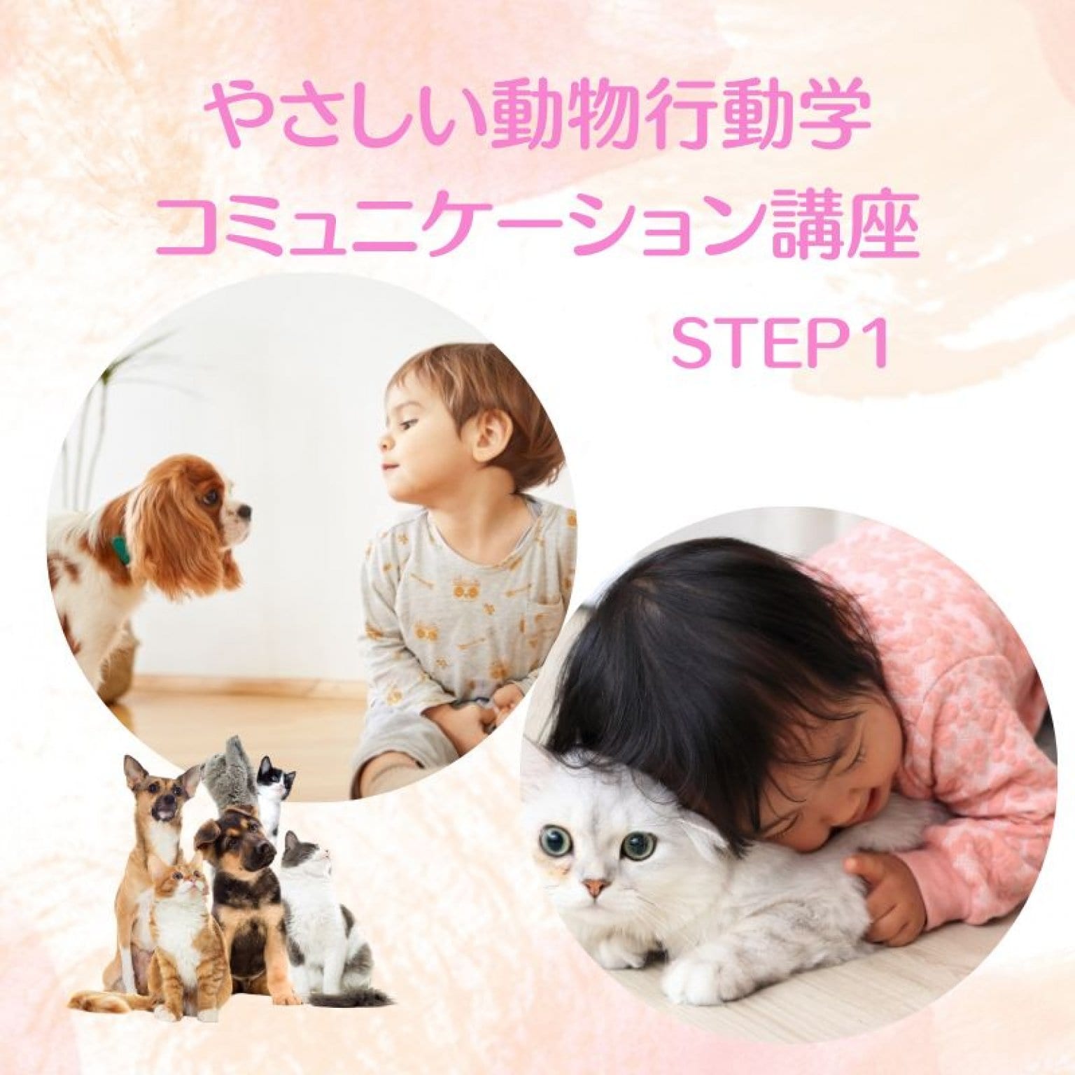 やさしい動物行動学 非言語コミュニケーション講座 〜伝わる伝え方で行動が変わる〜｜オンラインor対面 ...