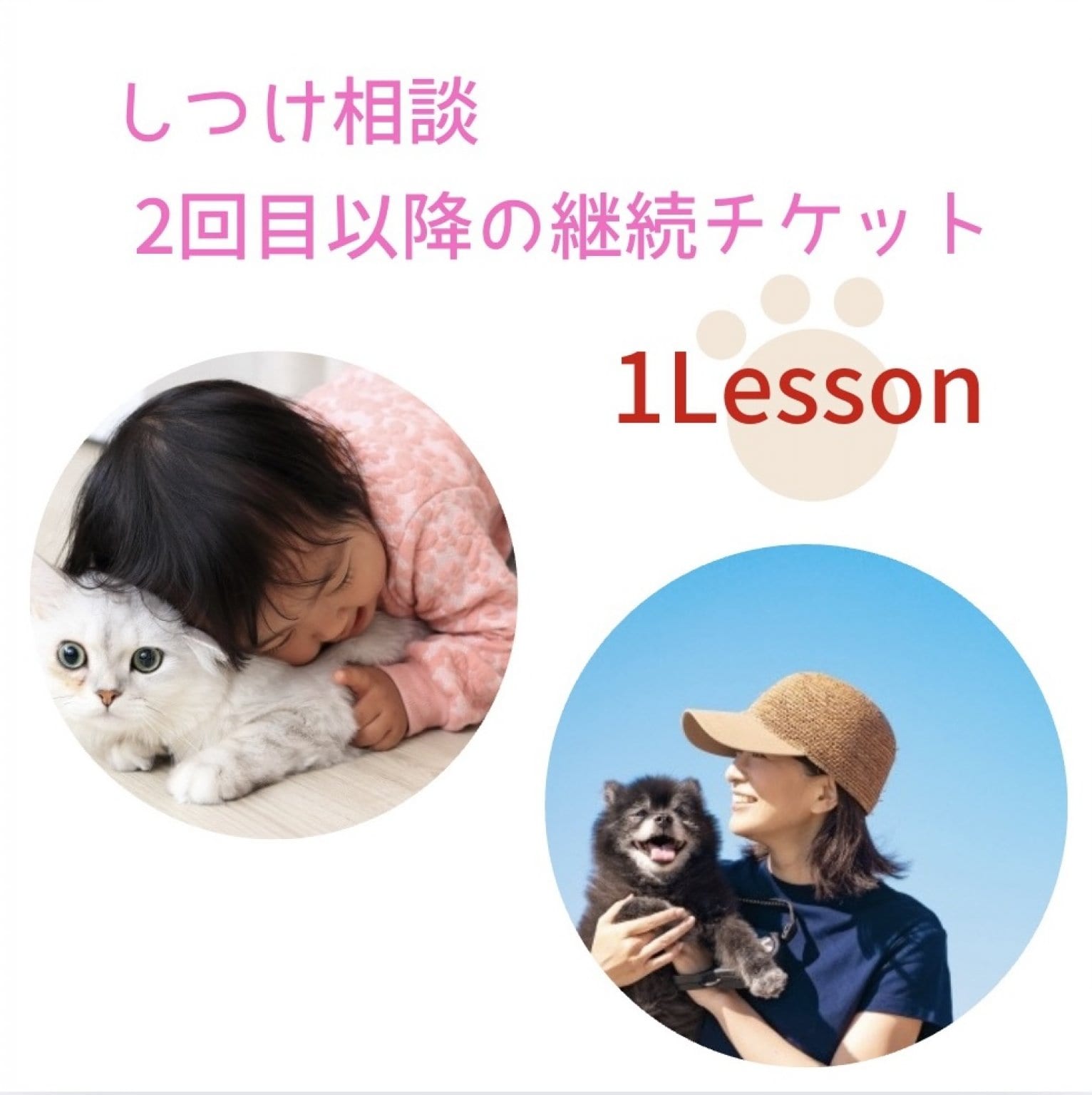 しつけ相談継続チケット｜１Lesson