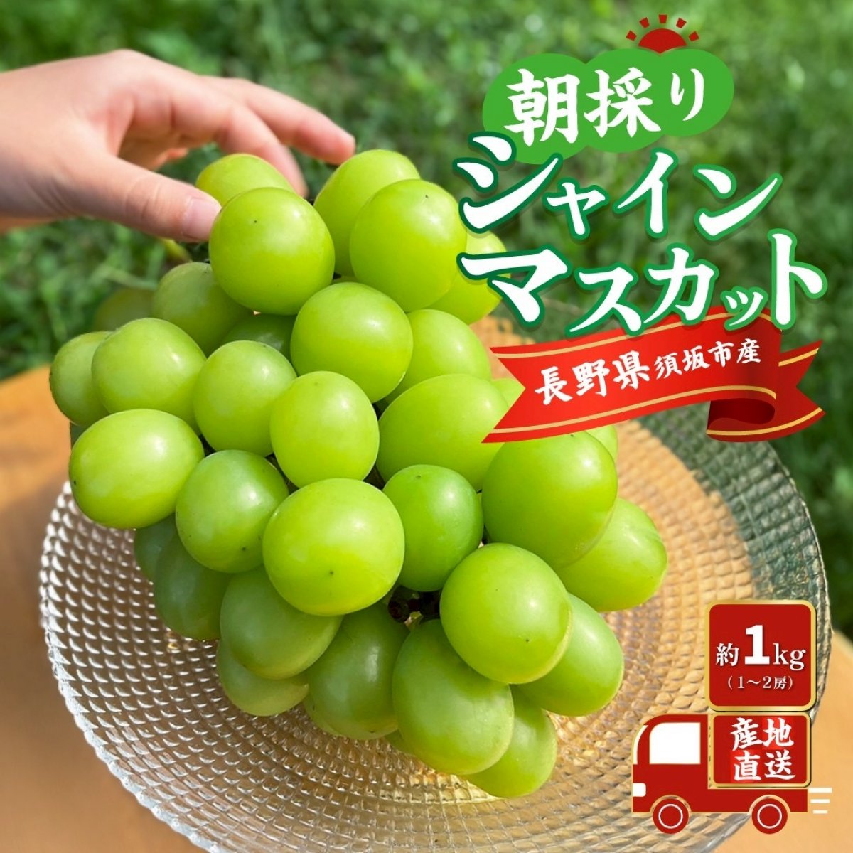【長野県須坂市産】シャインマスカット/完熟・ご注文後に収穫/約1kg(1〜2房)/佐川急便でのお届け/小林農園