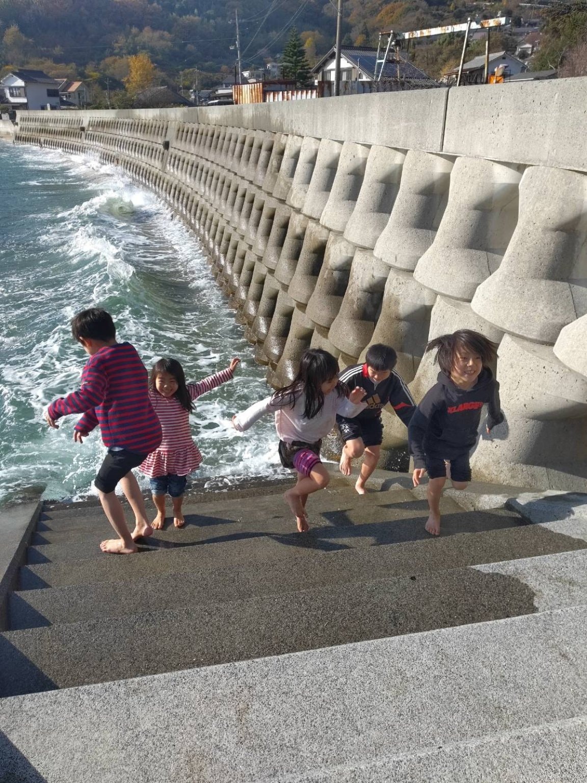 わかめの釜茹で体験　2月15日(土)10時〜14時