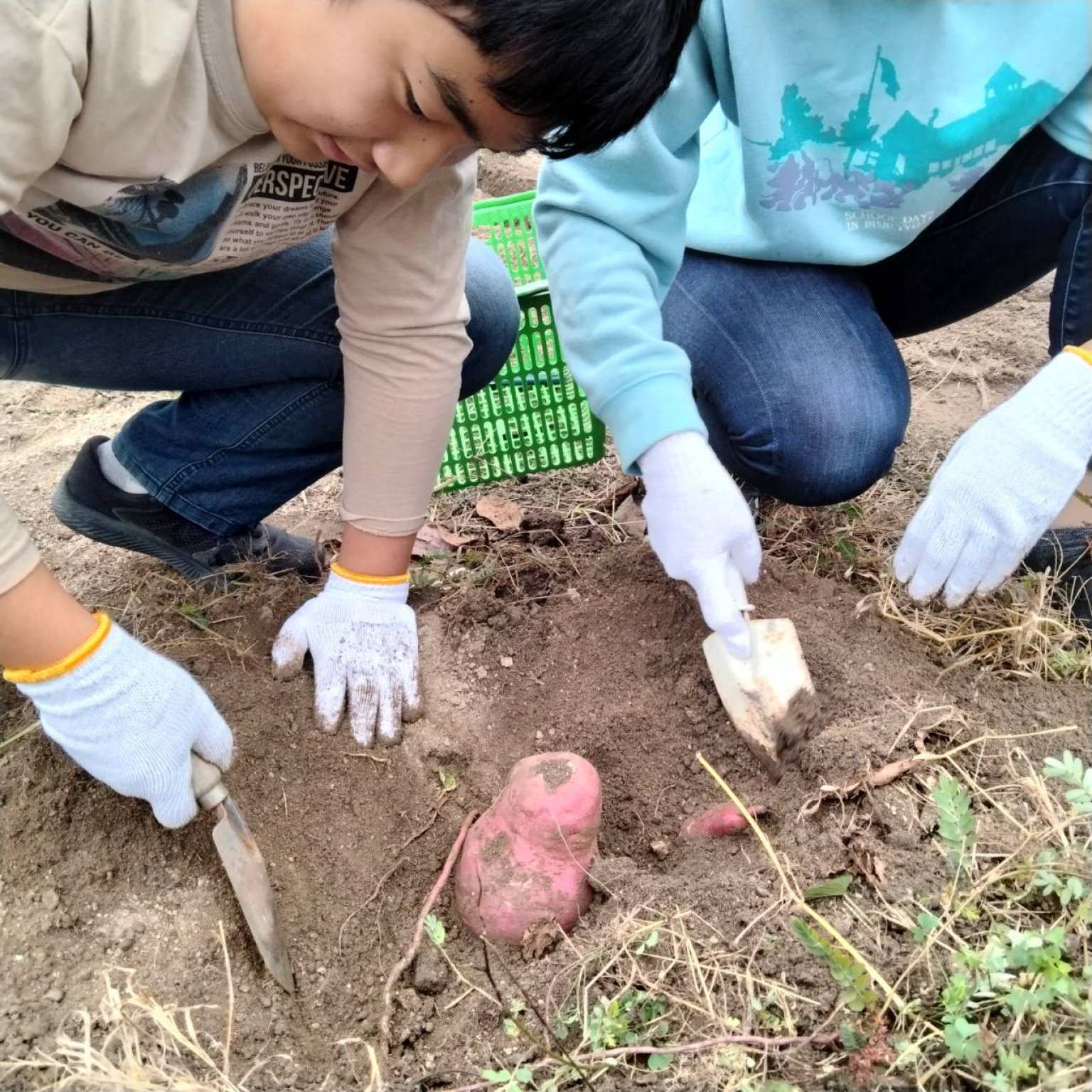 子供一人追加　なりきり多賀谷水軍　〜第九之陣〜