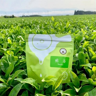 【当店一押し】王冠 霧島茶(ティーバッグ4g×10P入り)｜今吉製茶　　