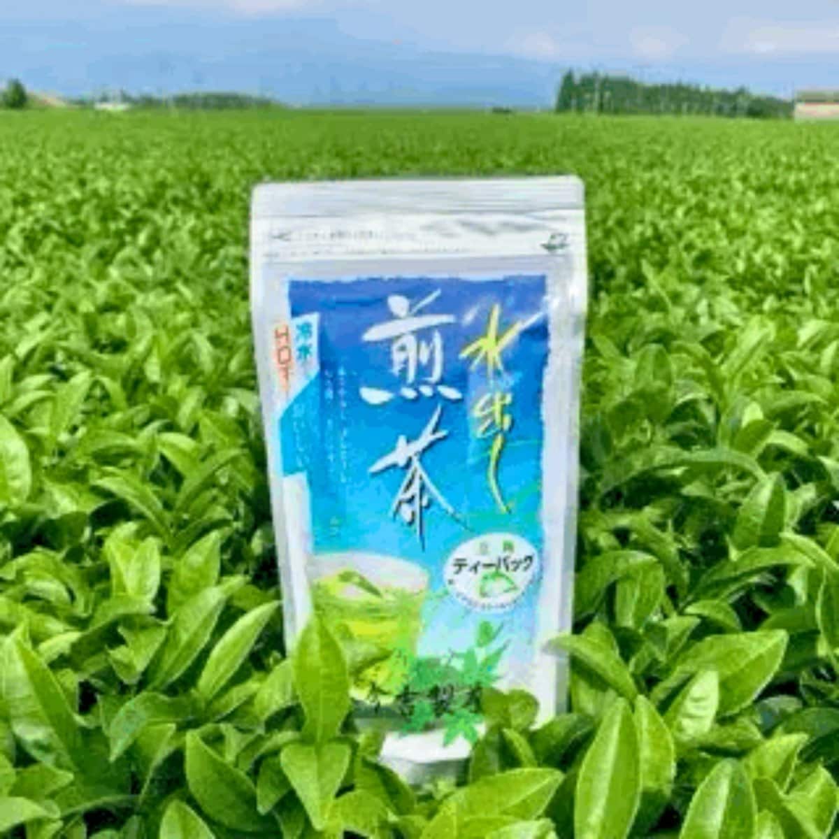 【手軽で簡単!】 水出し煎茶（TB 4g×25Ｐ入）｜鹿児島茶 霧島茶｜今吉製茶