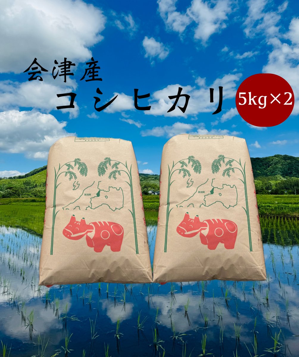 令和6年産コシヒカリ(会津産)5kg×2セット【白米】