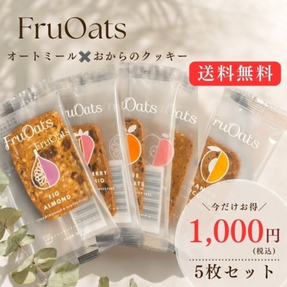 FruOuts オートミール✖️おから グルテンフリークッキー　5枚セット