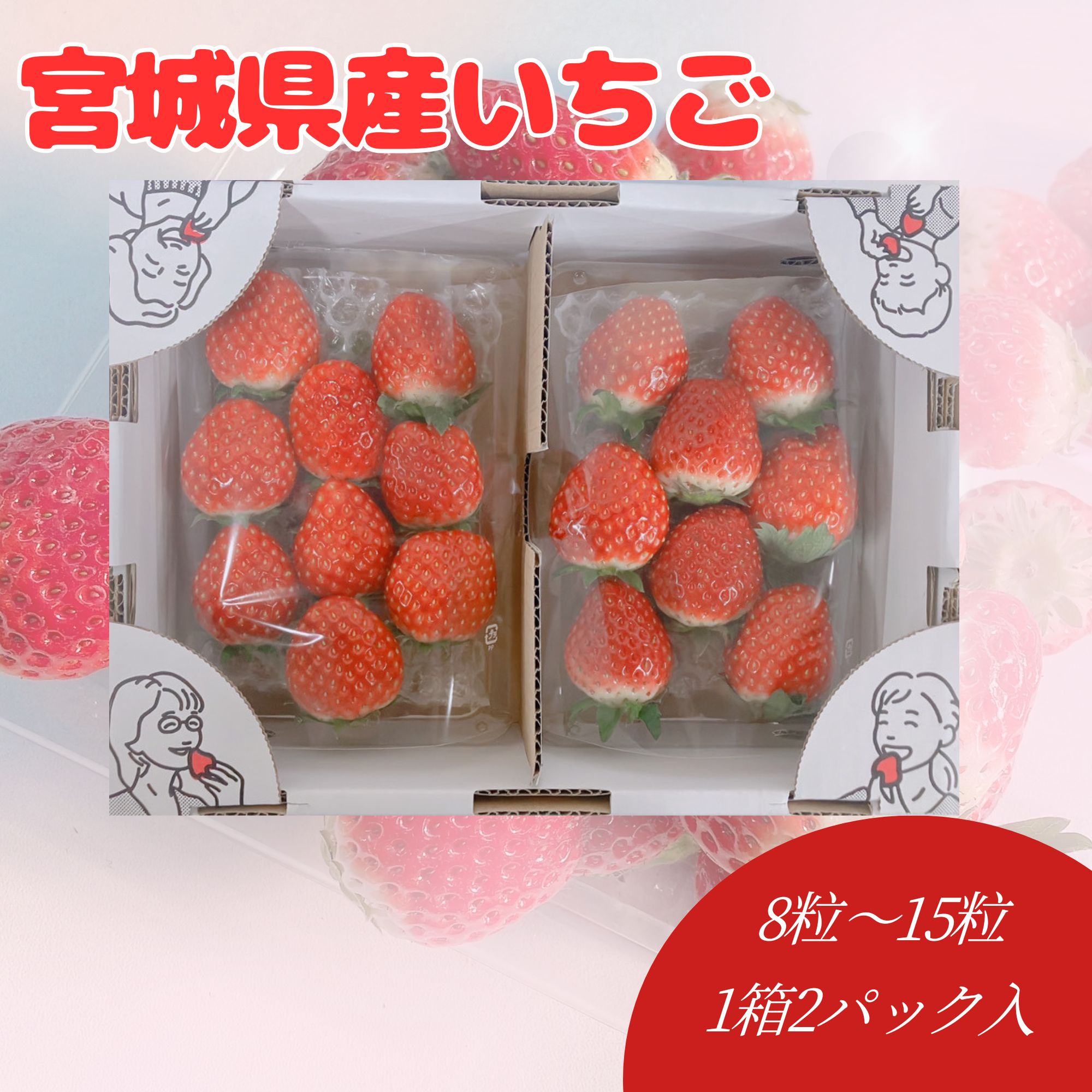 宮城県産いちご【ほほ笑み】贈り物・ご褒美ギフトにおすすめ！【送料