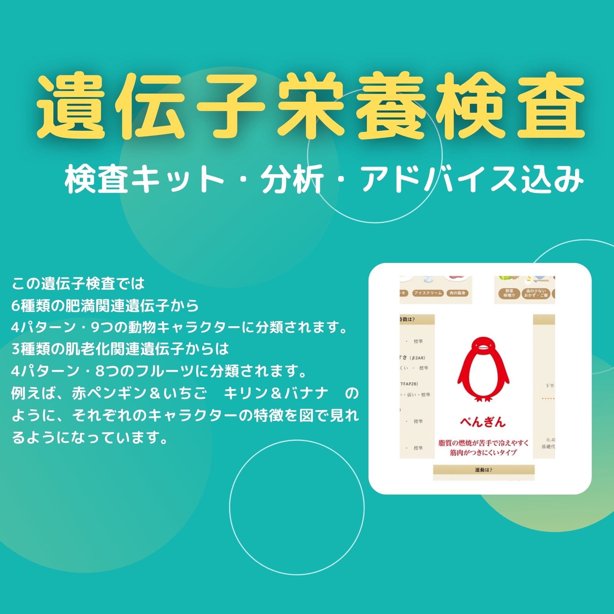 遺伝子検査キット　H&BP 肥満、肌老化、生活習慣病関連遺伝子 アフターフォロー付き遺伝子検査】肥満・生活習慣病・肌老化遺伝子検査