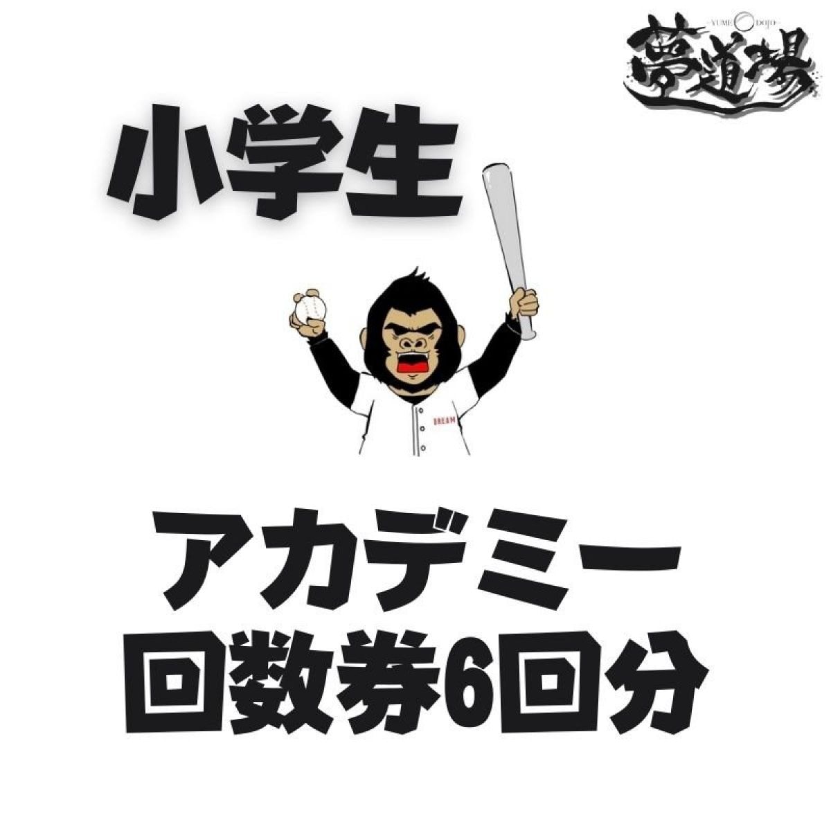 【小学生】夢道場アカデミー/回数券（6回分）