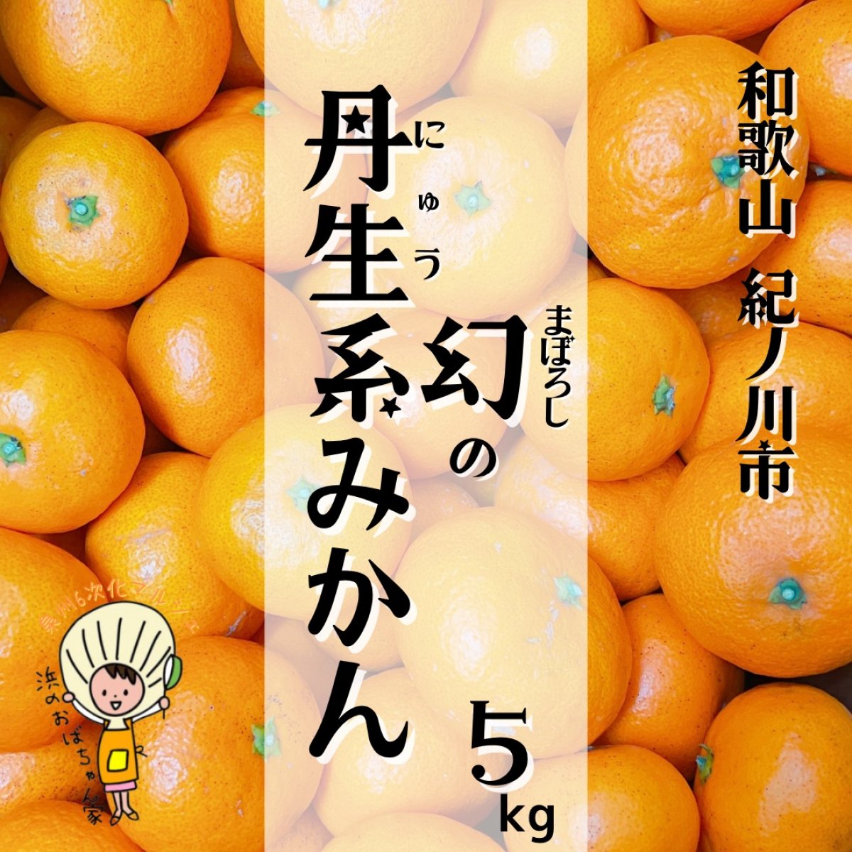 【幻の丹生系温州みかん5kg】　冬の美容と健康に♪まごごろ栽培｜和歌山県紀ノ川市｜せいごふぁーむ