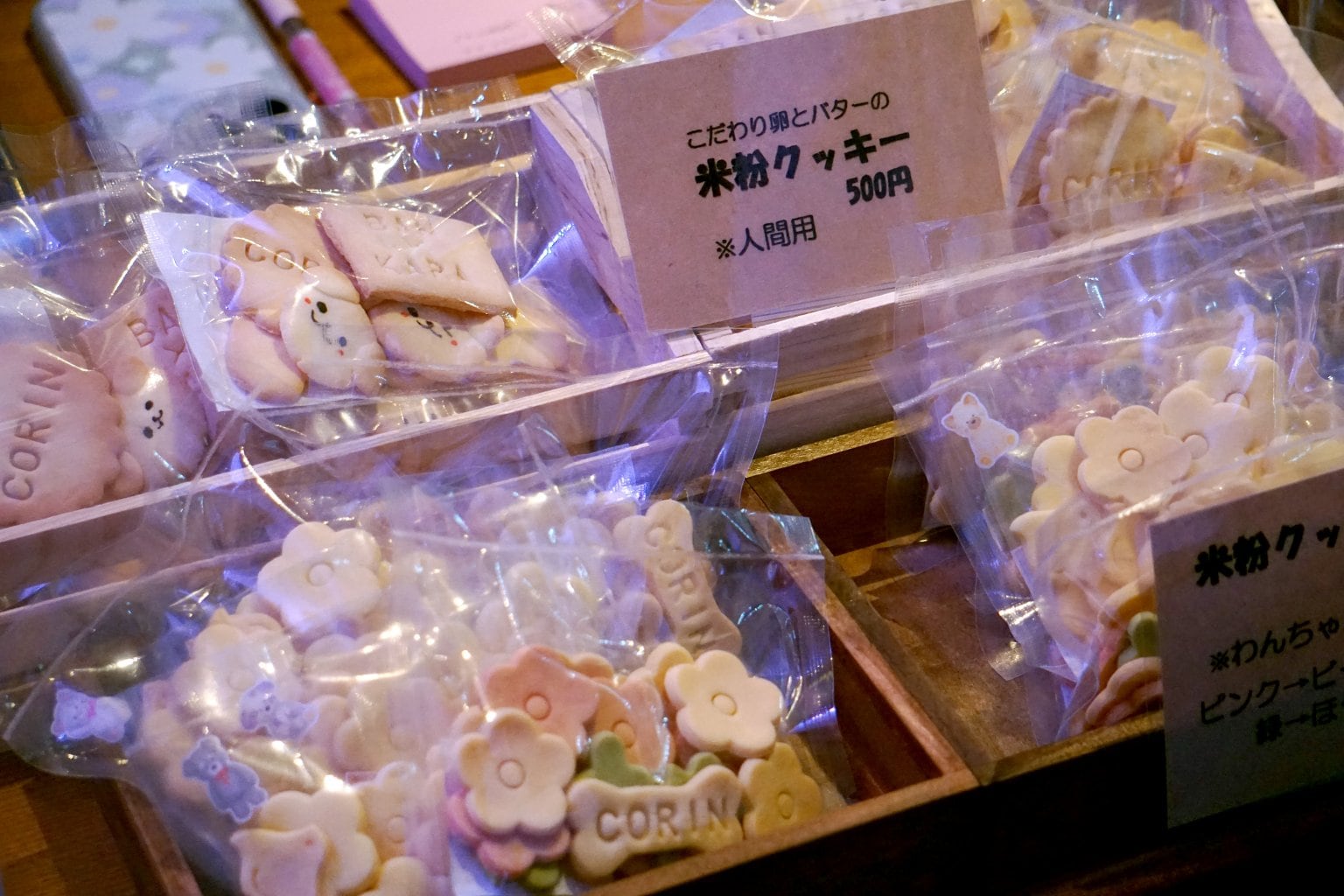 【１０００円還元】９月６日（土）わんわんマーケットVOL .６　札幌市　来場者前売りチケット　（入場チケット）　犬と愛犬家のイベント　わんこ同伴可能　イベント　動物愛護　今年のテーマは「健康」