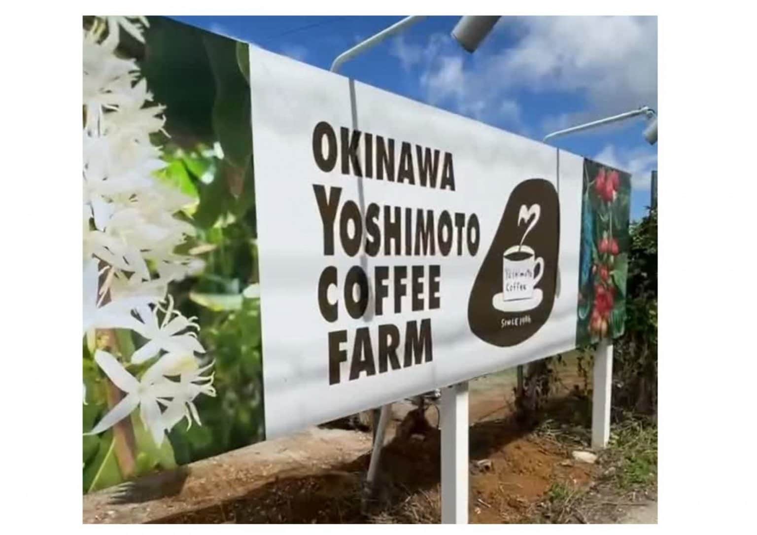 【4/11（土）限定】農園ツアー☆コーヒー焙煎体験