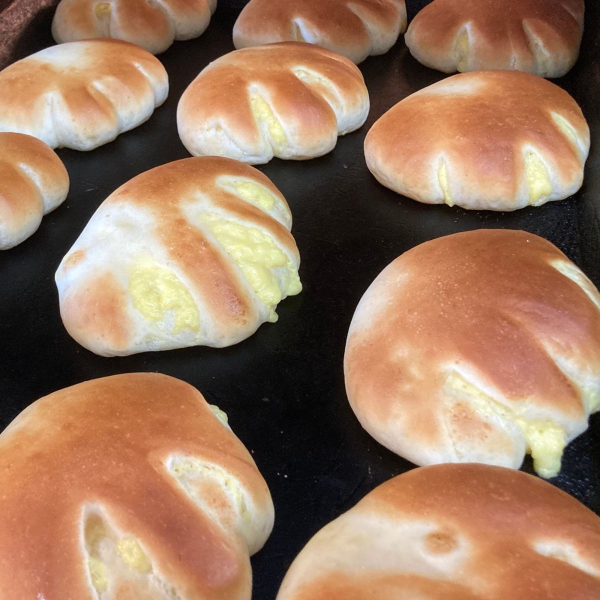 自家製クリームパン８個セット