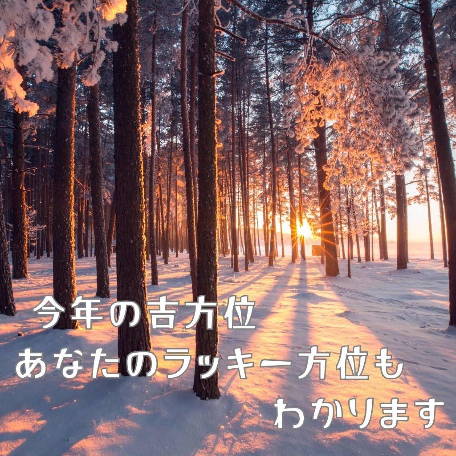 永井様専用【紫微斗数 オンライン鑑定60分】今年の運勢/仕事運/恋愛運/金運など占います
