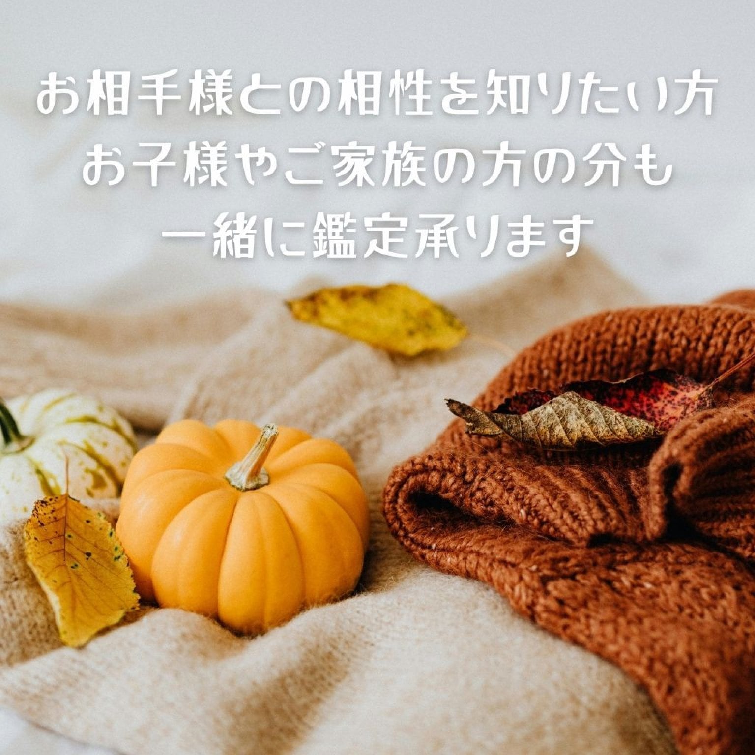 【紫微斗数】人生の流れと“今の迷い”に光を灯す60分｜オンライン鑑定