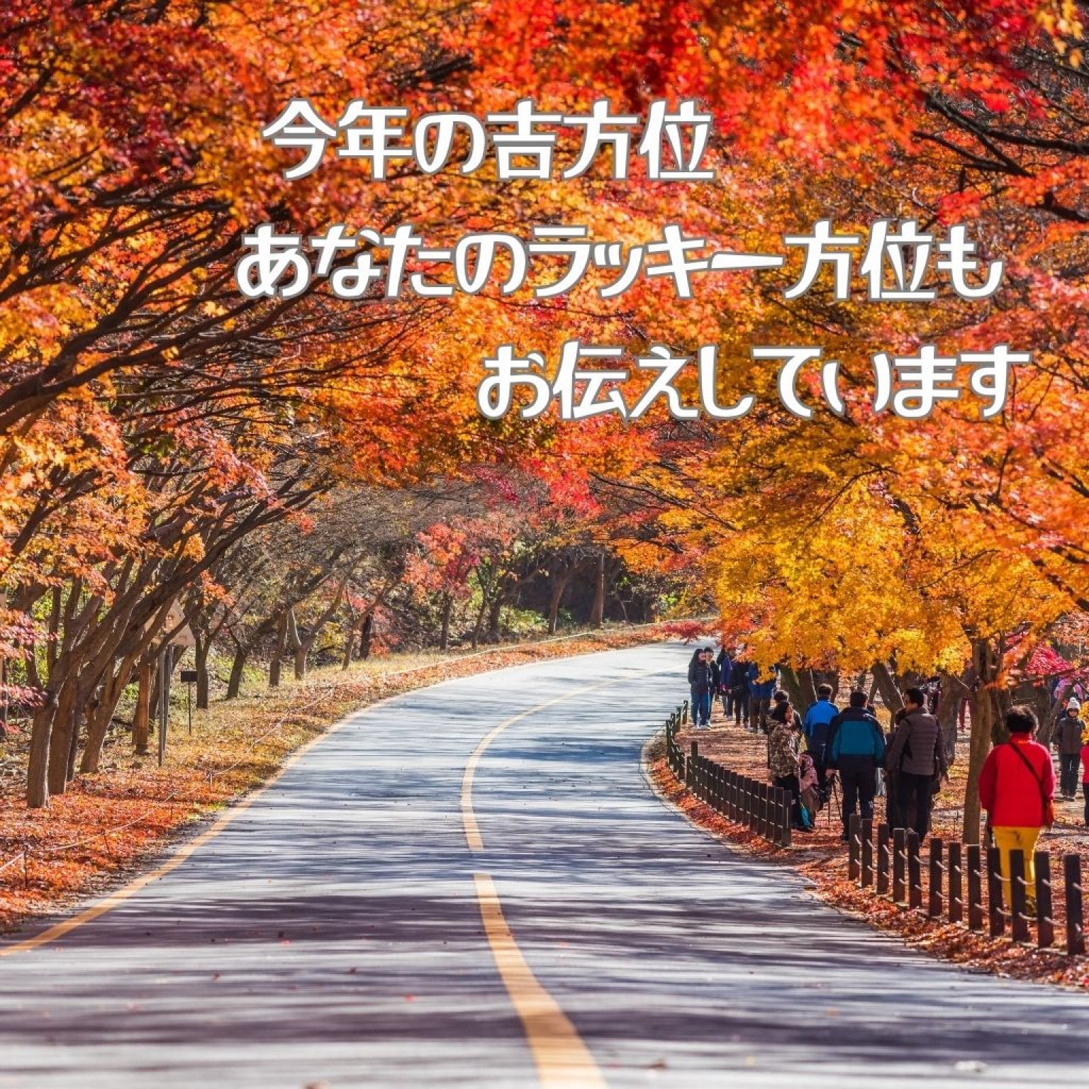 【紫微斗数】人生の流れと“今の迷い”に光を灯す60分｜オンライン鑑定