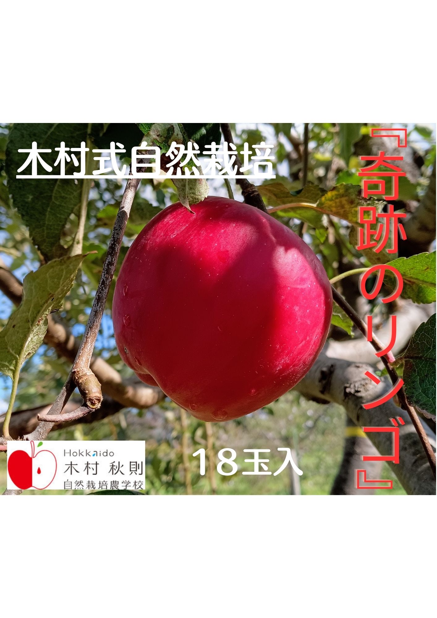 木村式自然栽培 仁木産「奇跡のリンゴ」18個入り